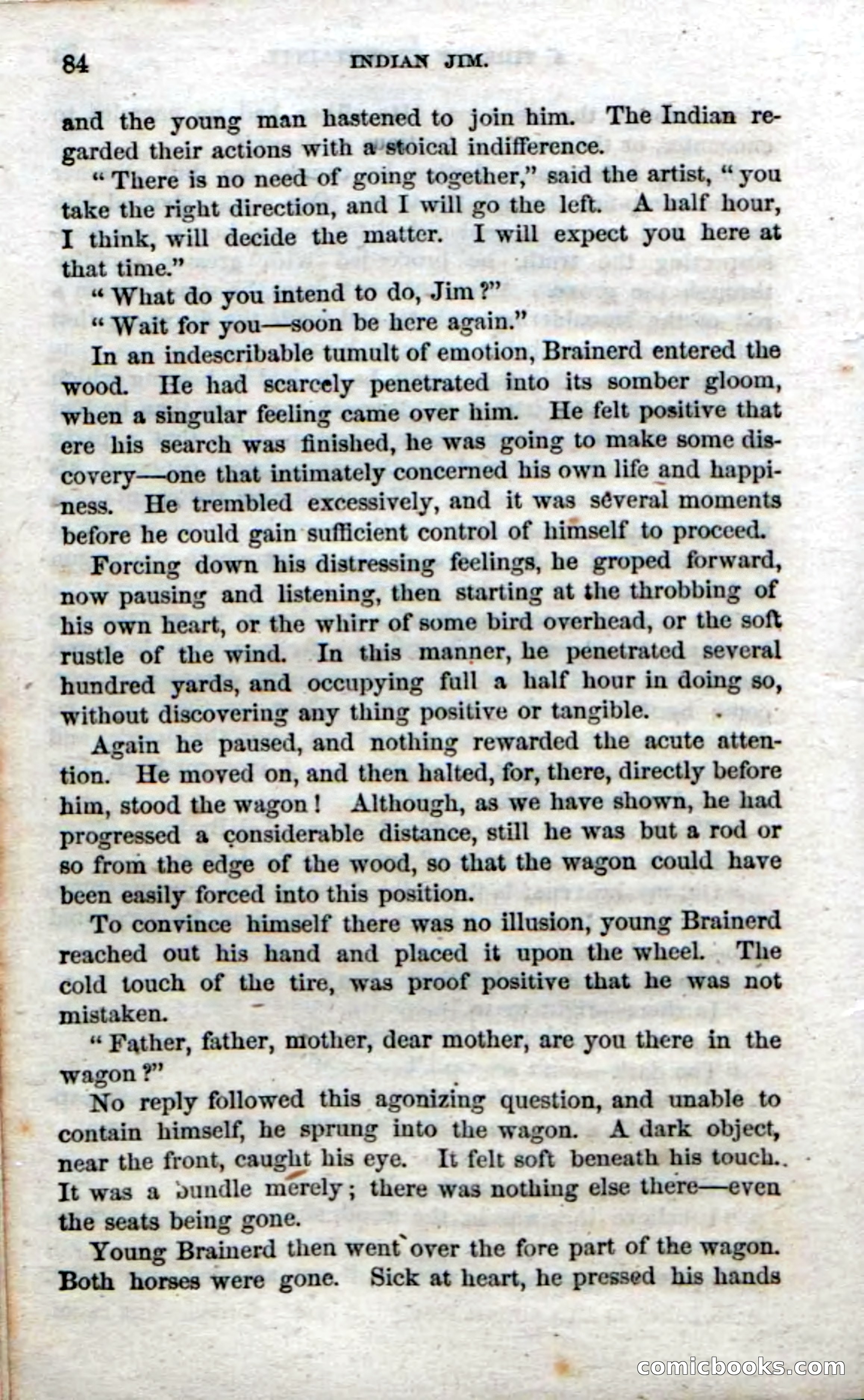 Indian Jim — page 82 of 100