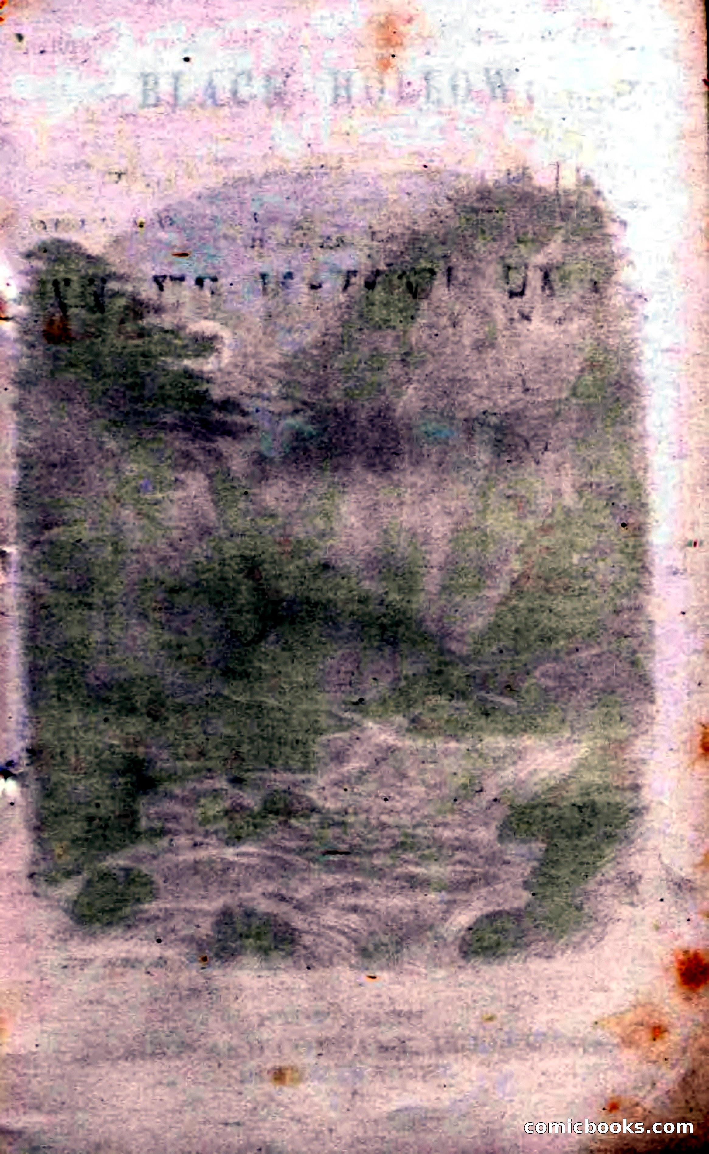 Beadle's Dime Novels No. 69: Black Hollow — page 3 of 100