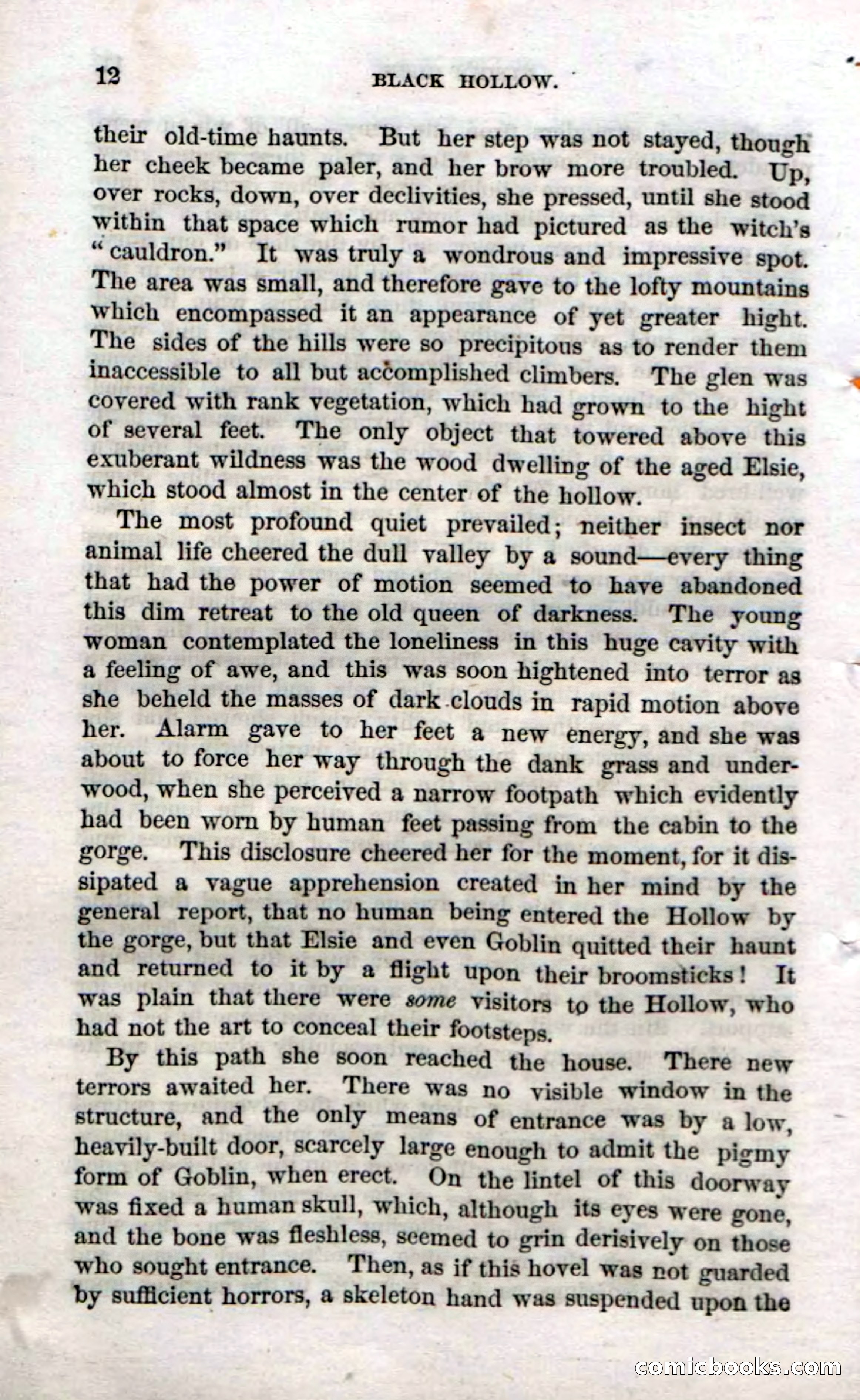 Beadle's Dime Novels No. 69: Black Hollow — page 10 of 100