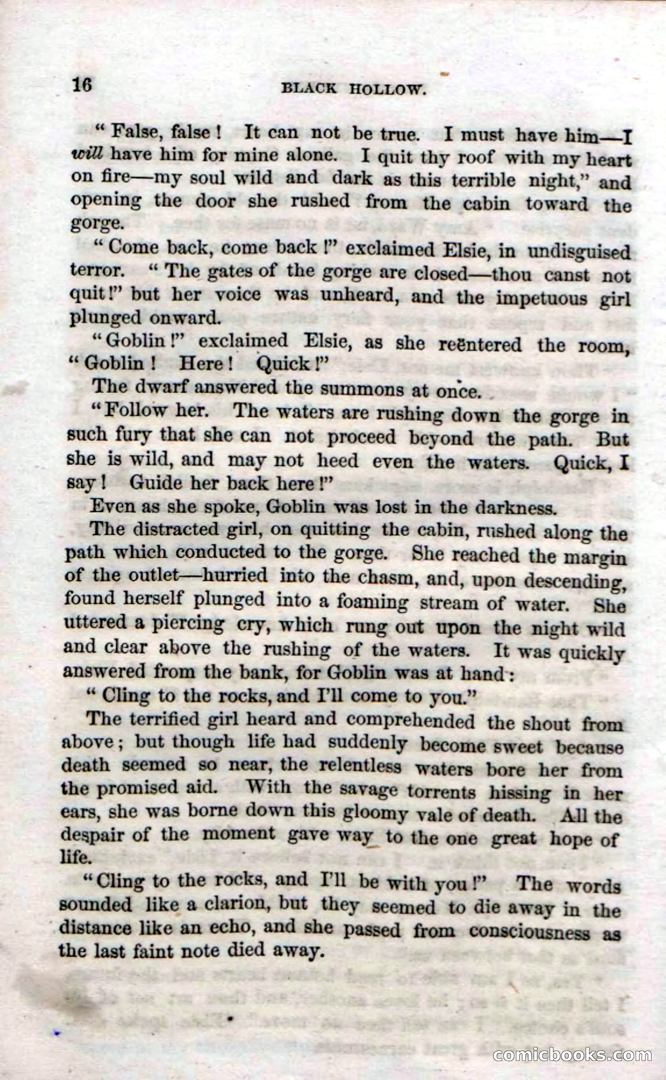 Beadle's Dime Novels No. 69: Black Hollow — page 14 of 100