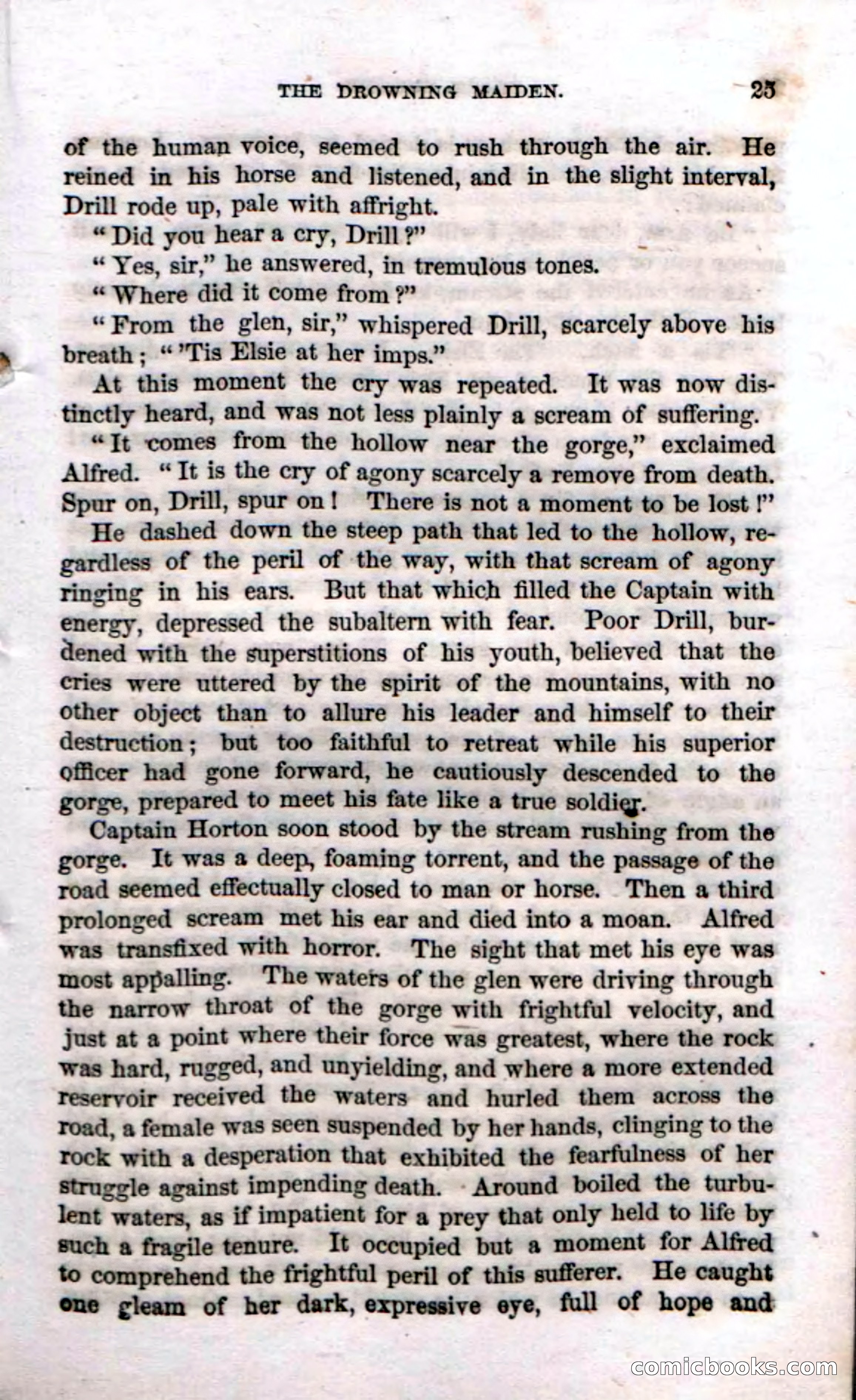 Beadle's Dime Novels No. 69: Black Hollow — page 23 of 100