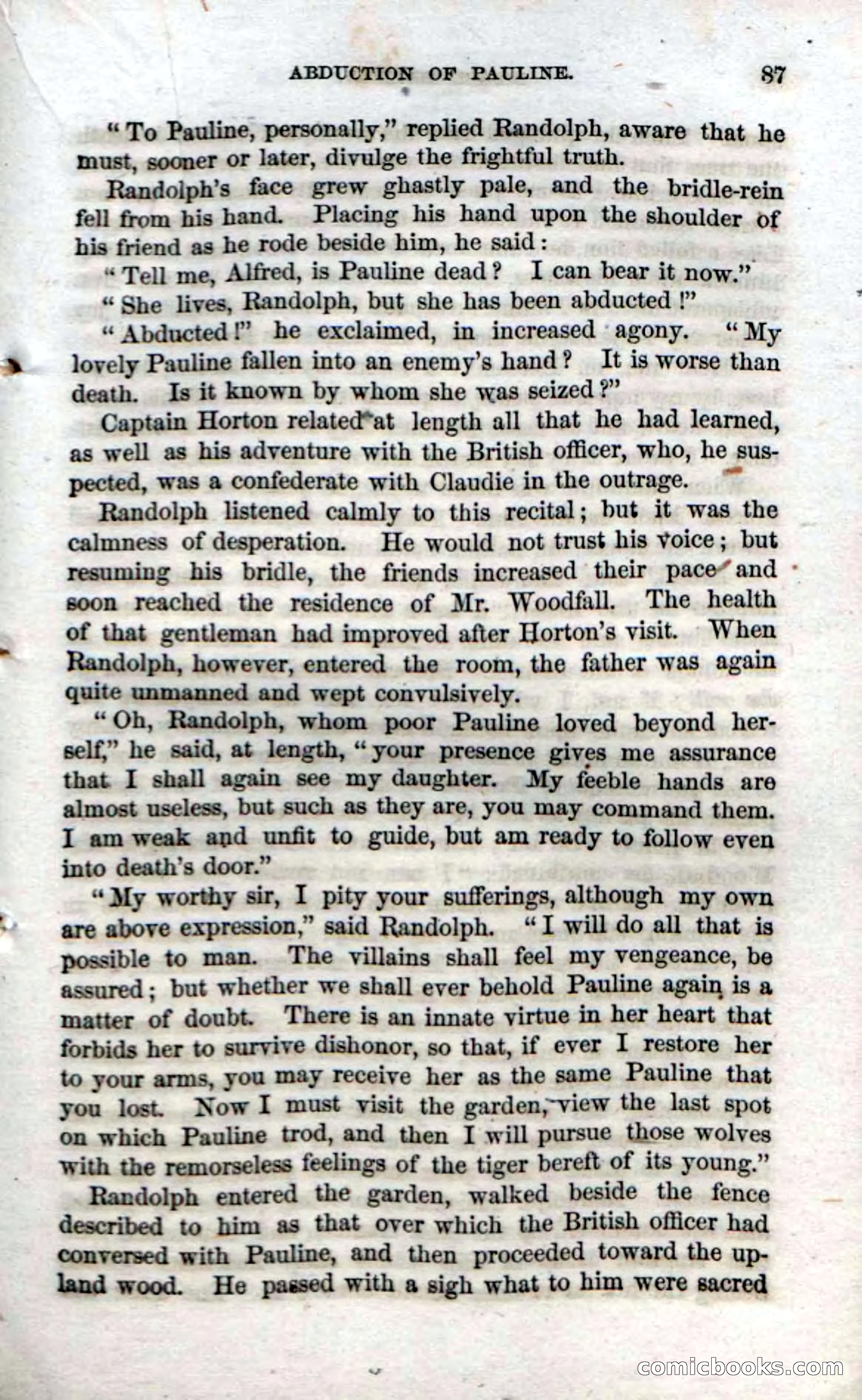 Beadle's Dime Novels No. 69: Black Hollow — page 85 of 100