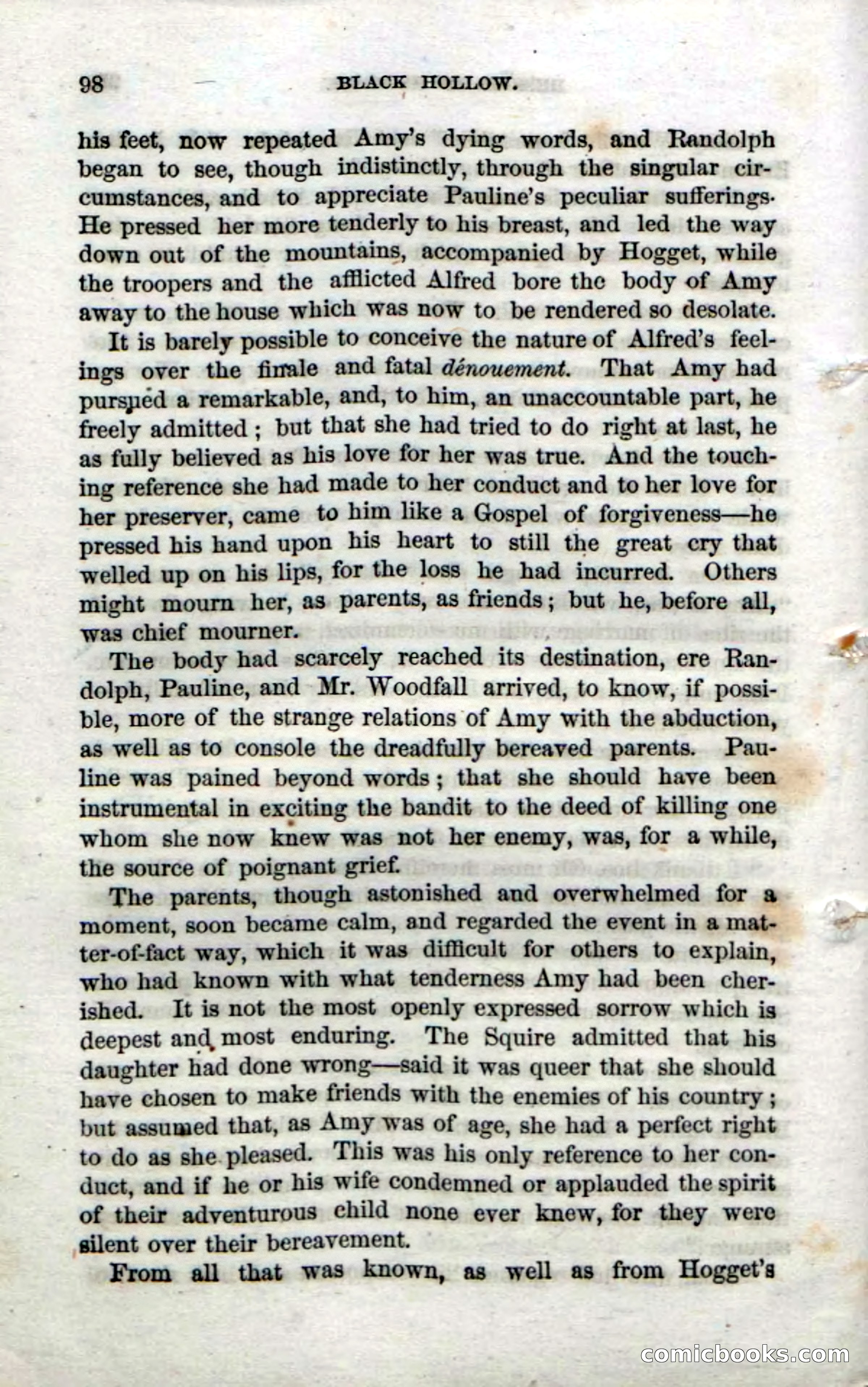Beadle's Dime Novels No. 69: Black Hollow — page 96 of 100