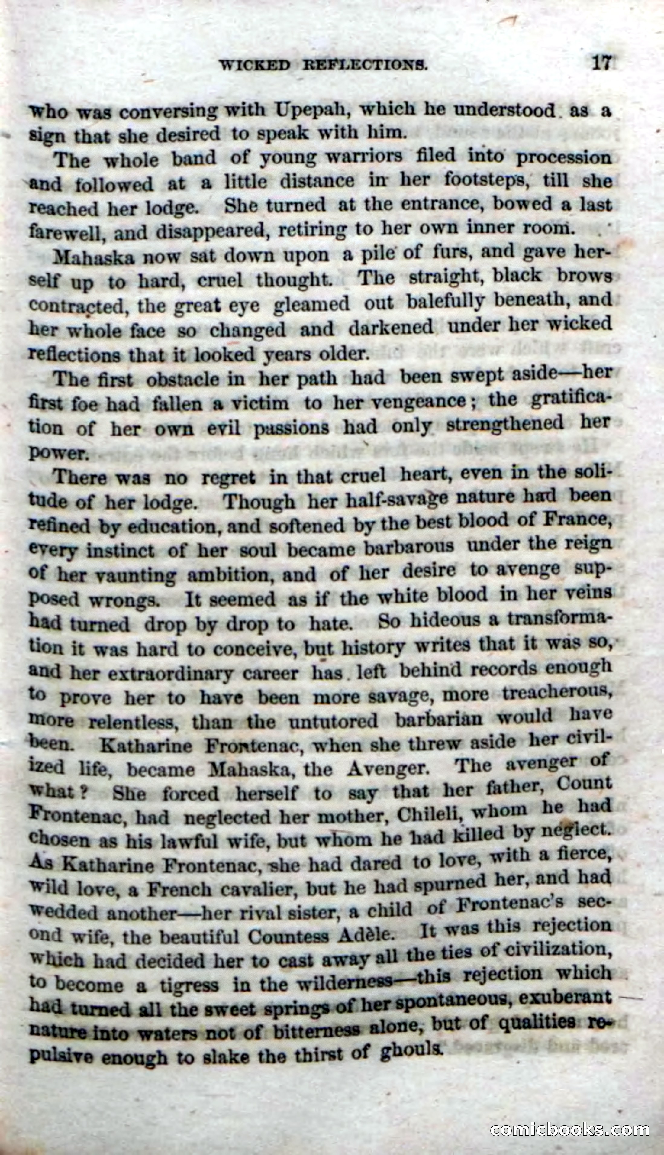 Beadle's Dime Novels No. 70: The Indian Queen — page 19 of 102