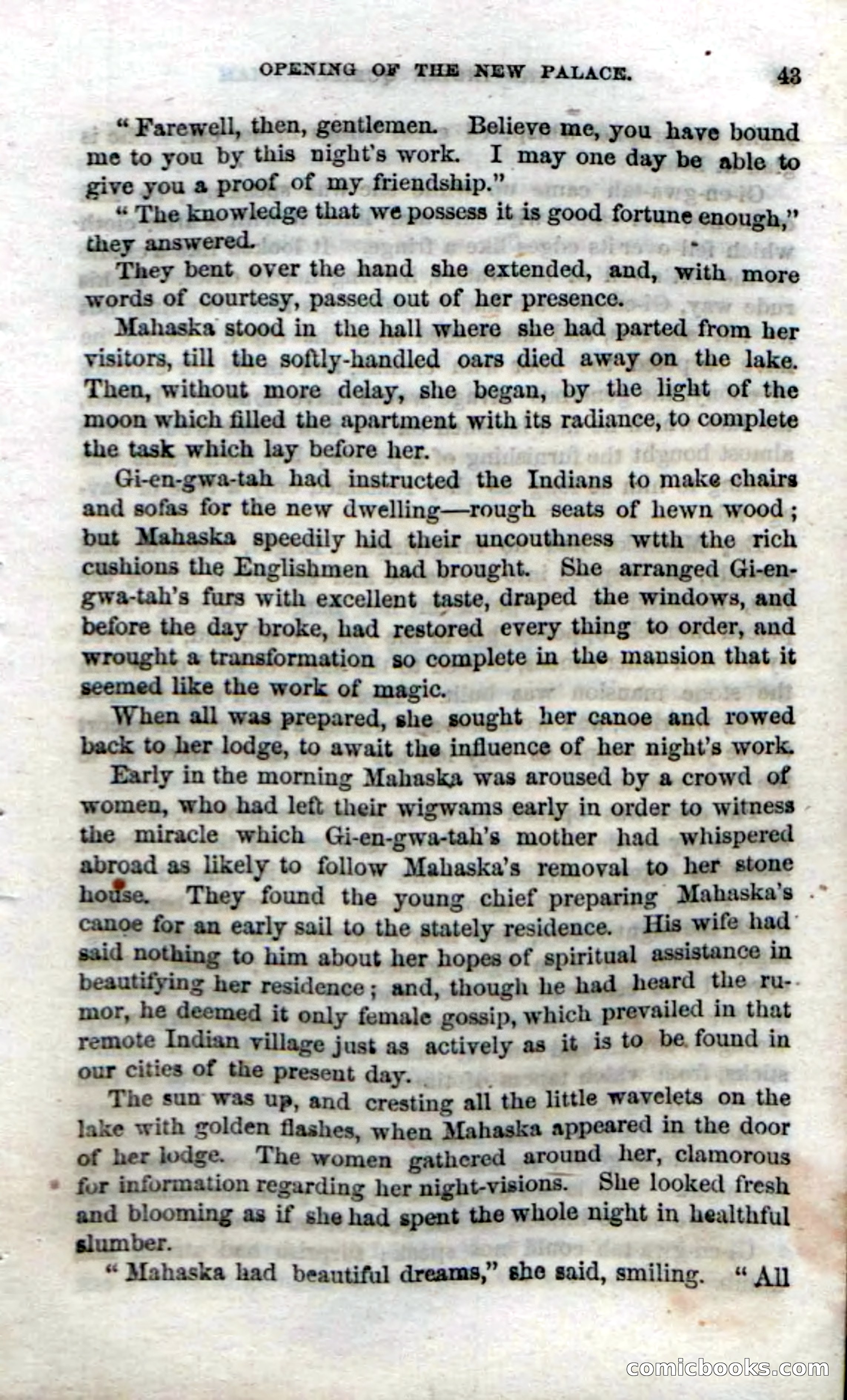 Beadle's Dime Novels No. 70: The Indian Queen — page 45 of 102