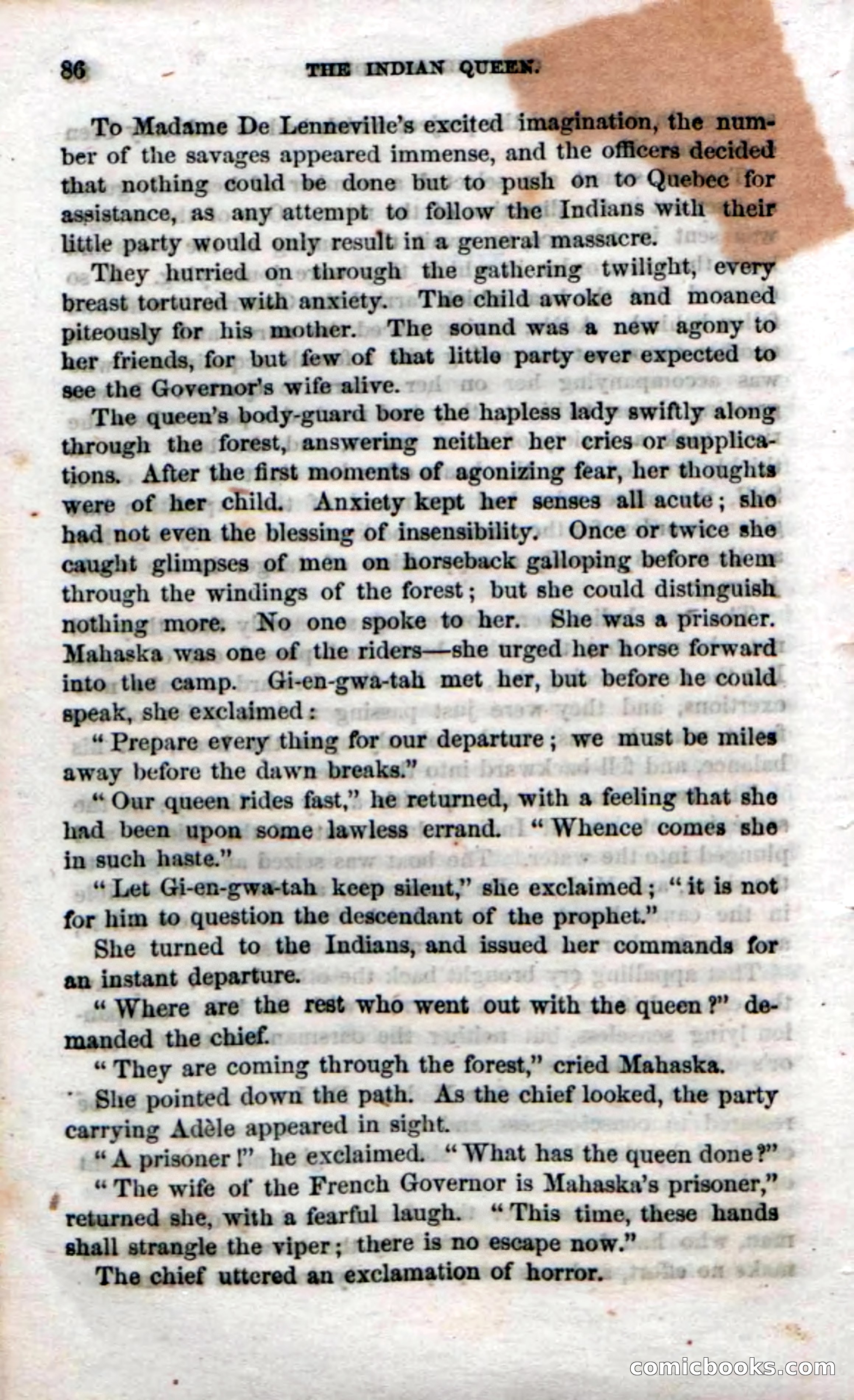 Beadle's Dime Novels No. 70: The Indian Queen — page 88 of 102