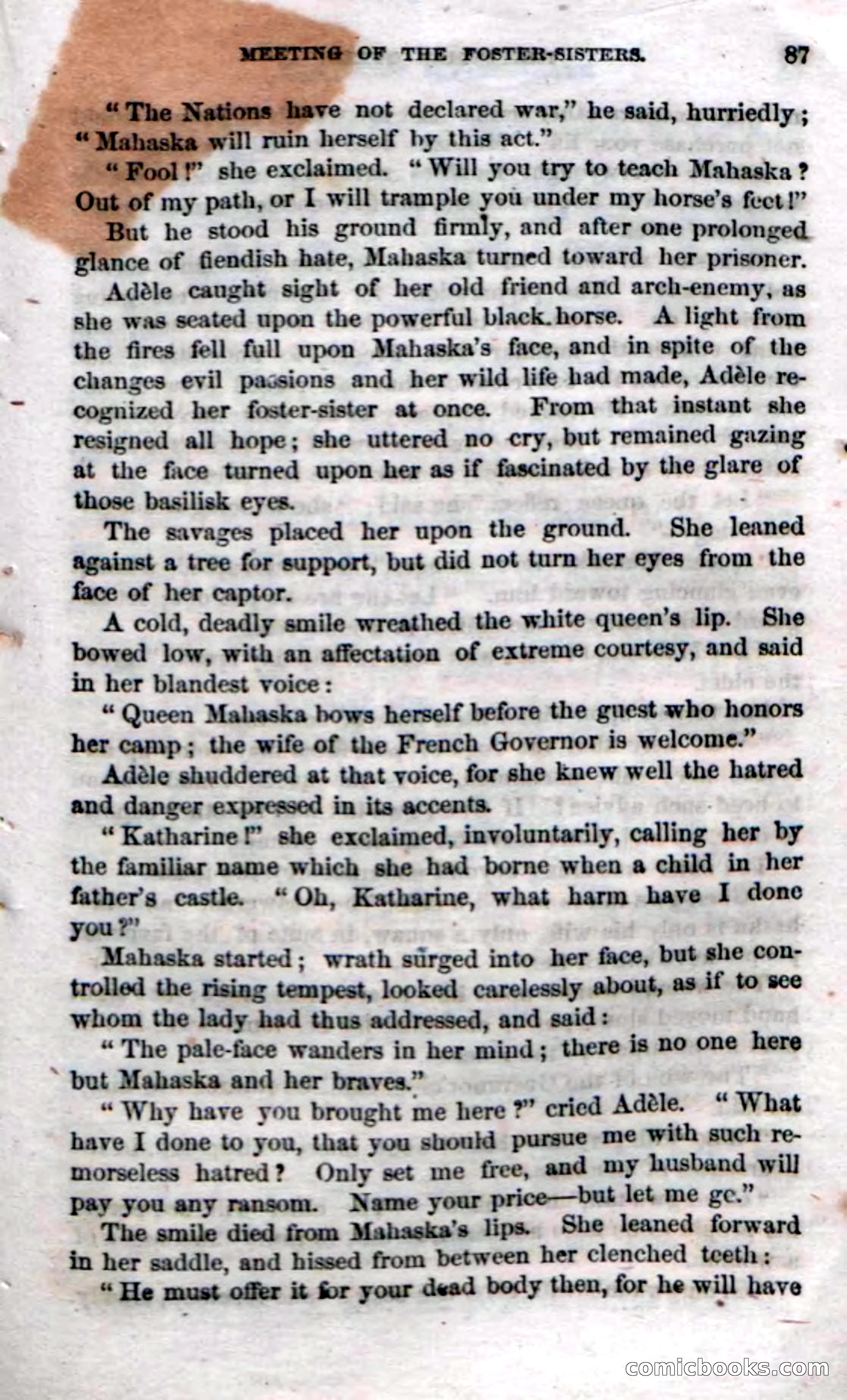 Beadle's Dime Novels No. 70: The Indian Queen — page 89 of 102