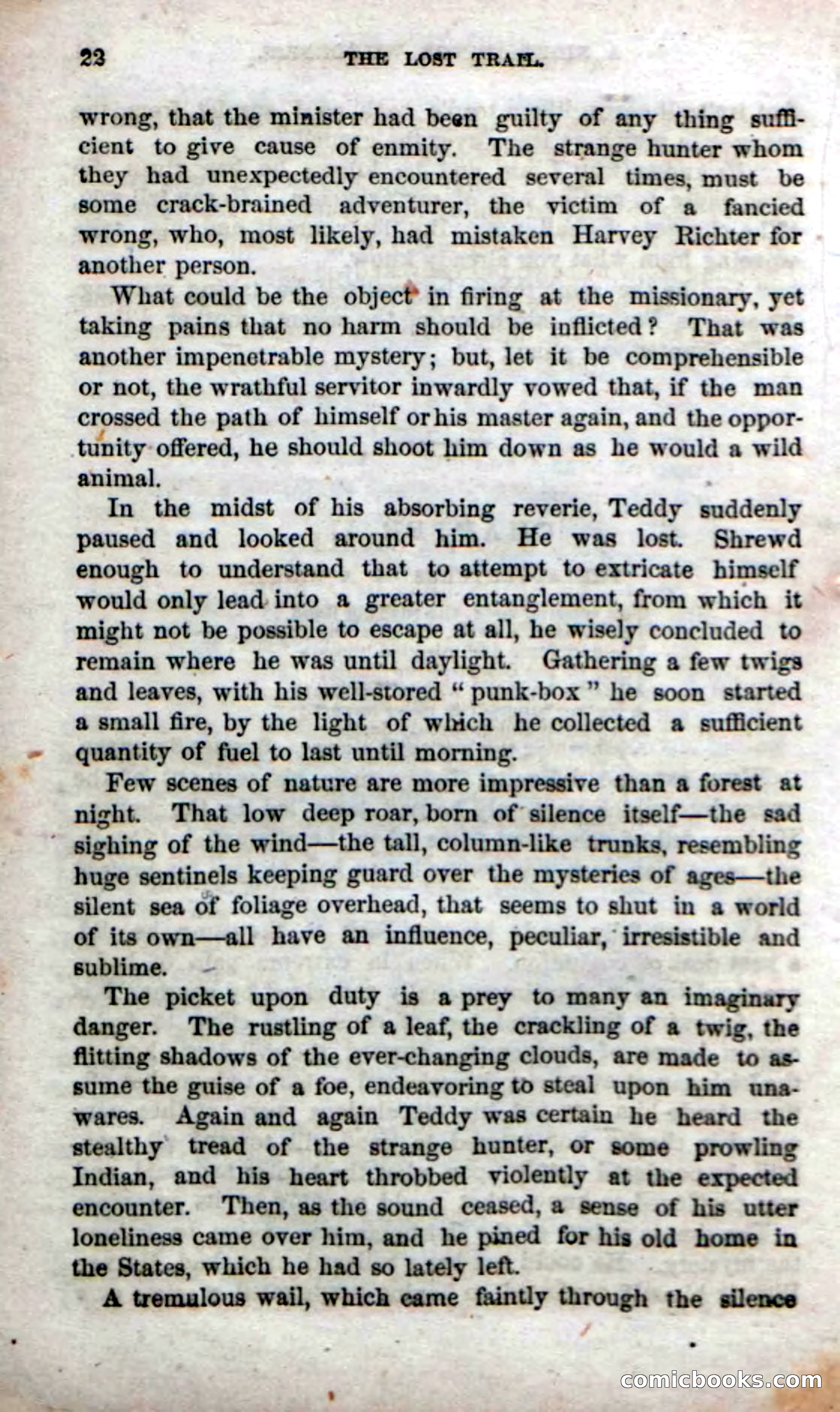 Beadle's Dime Novels No. 71: The Lost Trail — page 20 of 100
