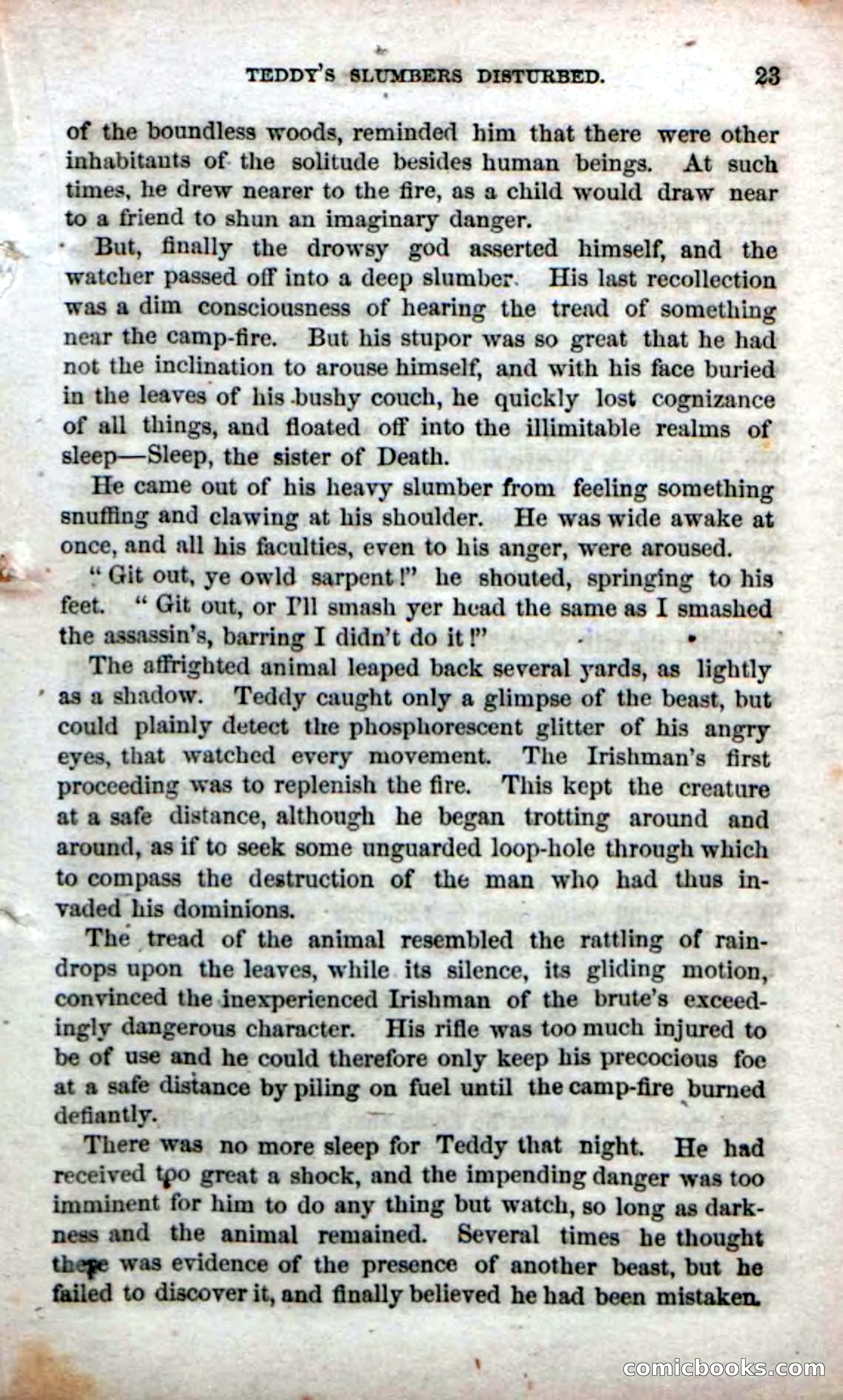 Beadle's Dime Novels No. 71: The Lost Trail — page 21 of 100