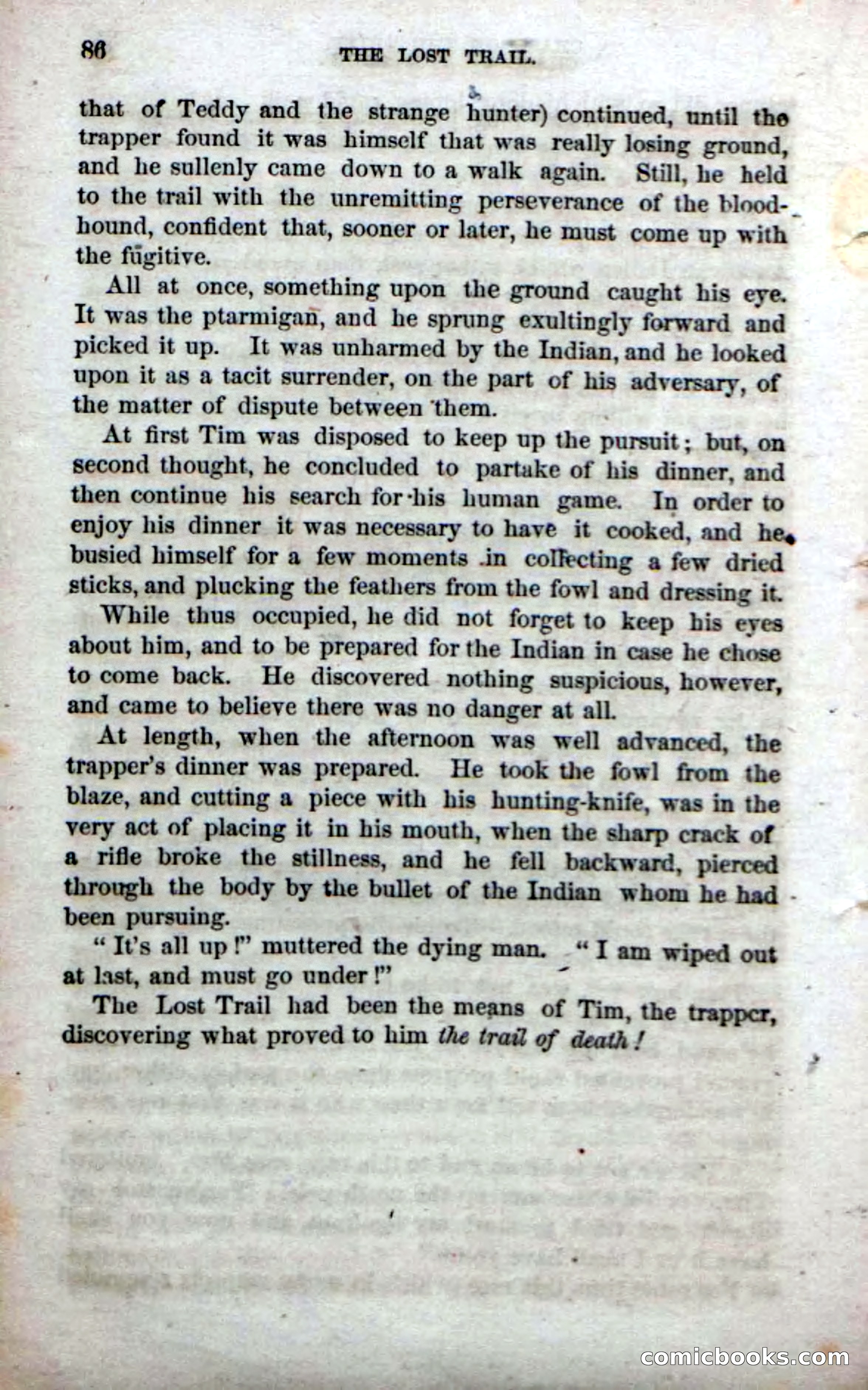 Beadle's Dime Novels No. 71: The Lost Trail — page 84 of 100