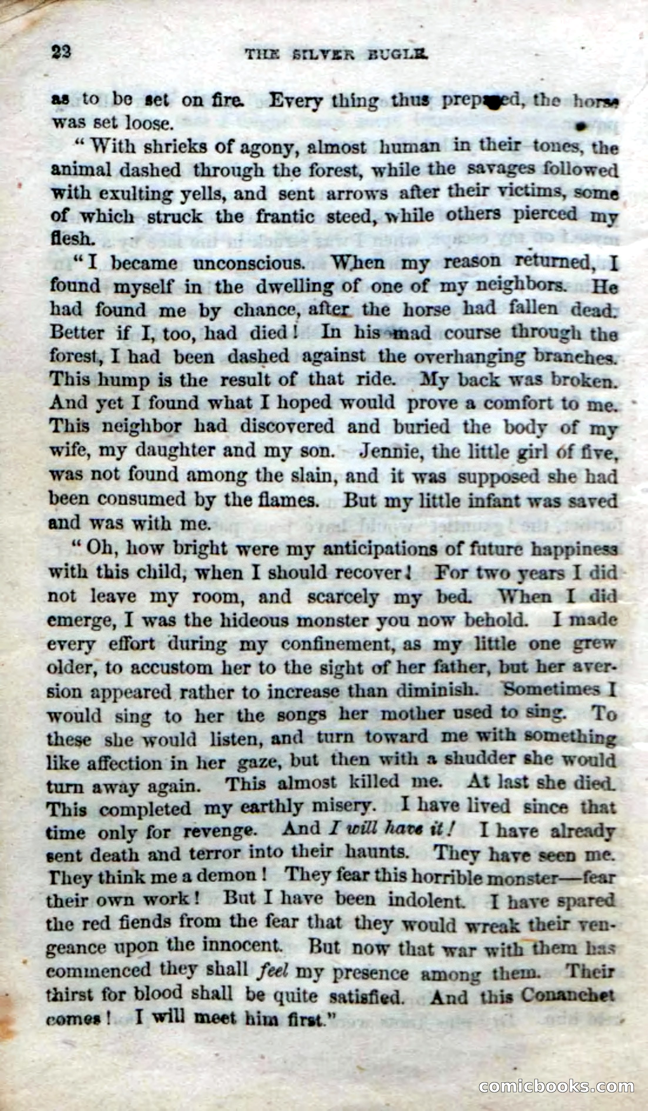 The Silver Bugle — page 20 of 100