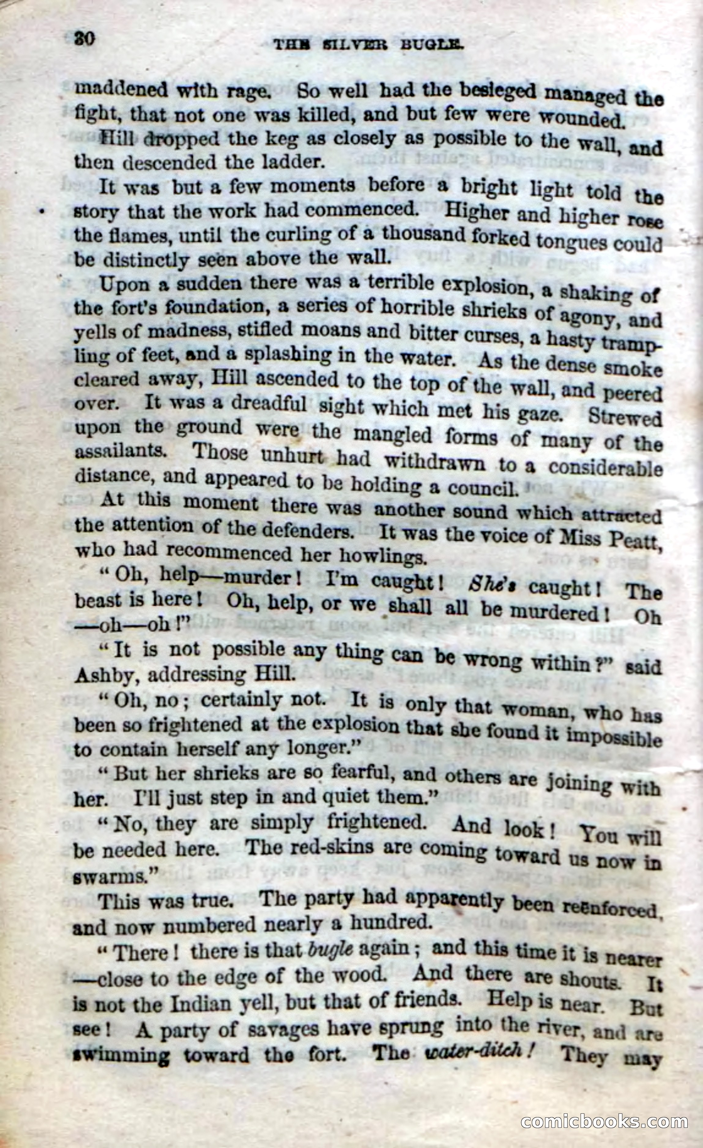 The Silver Bugle — page 28 of 100