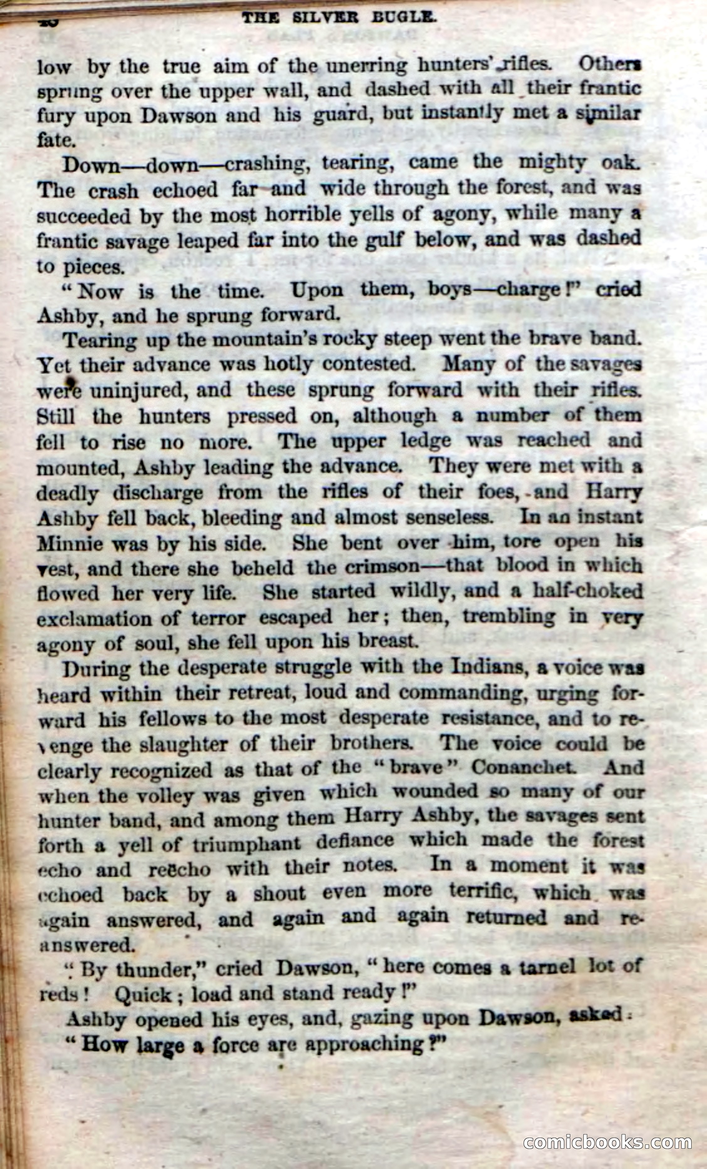 The Silver Bugle — page 46 of 100