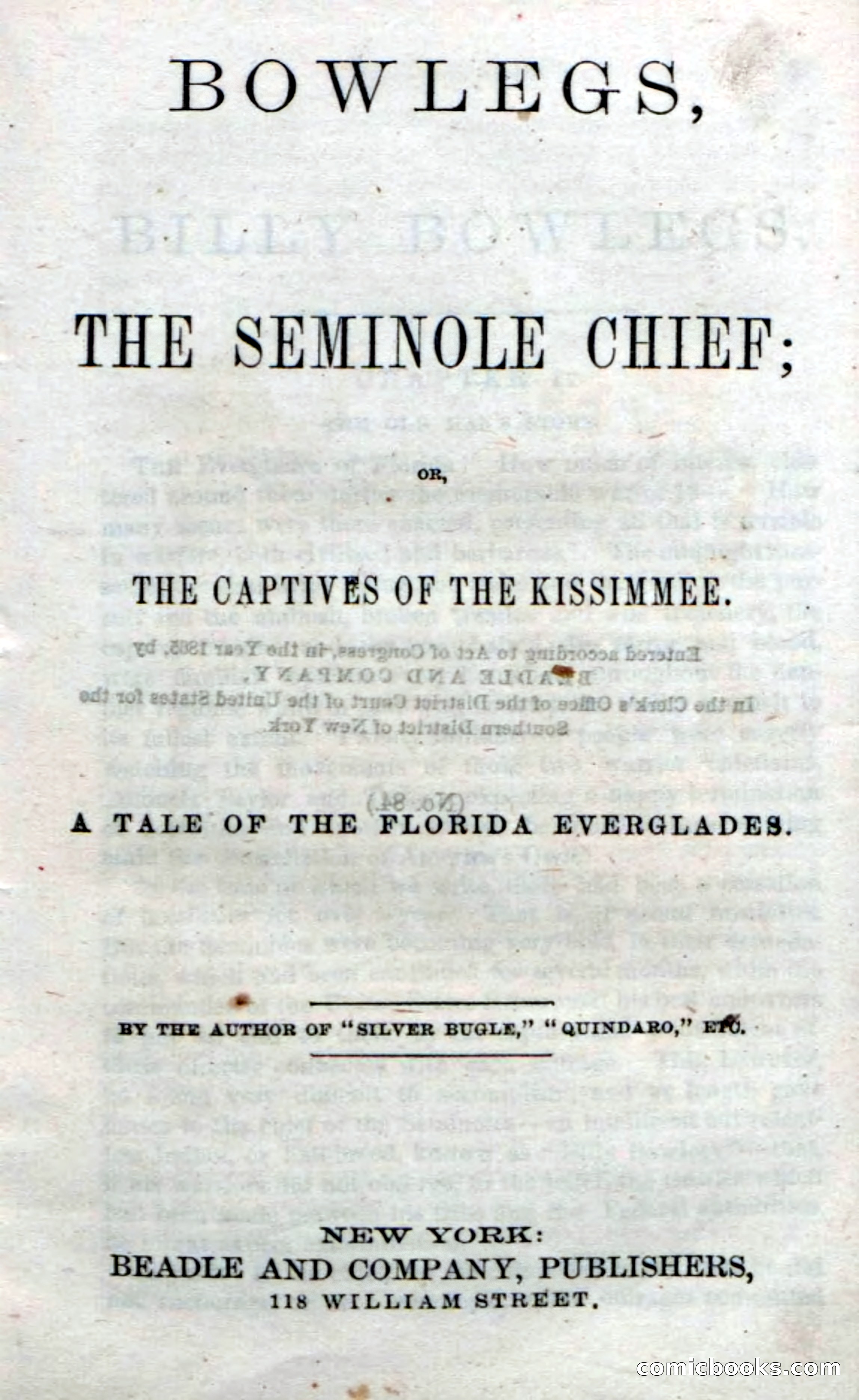 The Seminole Chief — page 5 of 100
