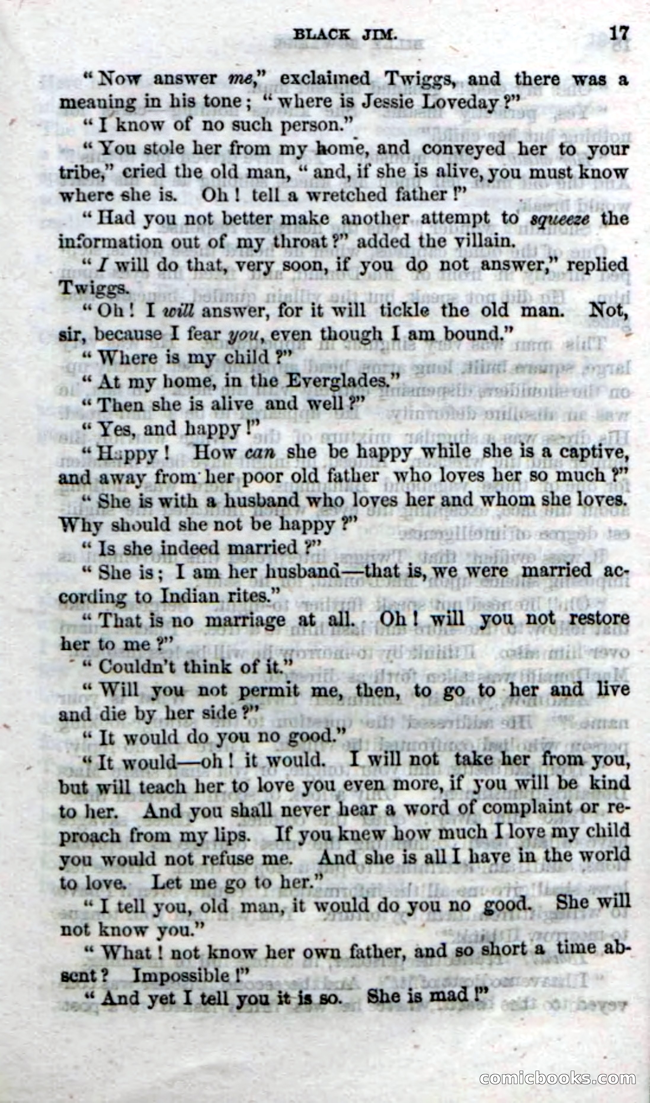 The Seminole Chief — page 15 of 100