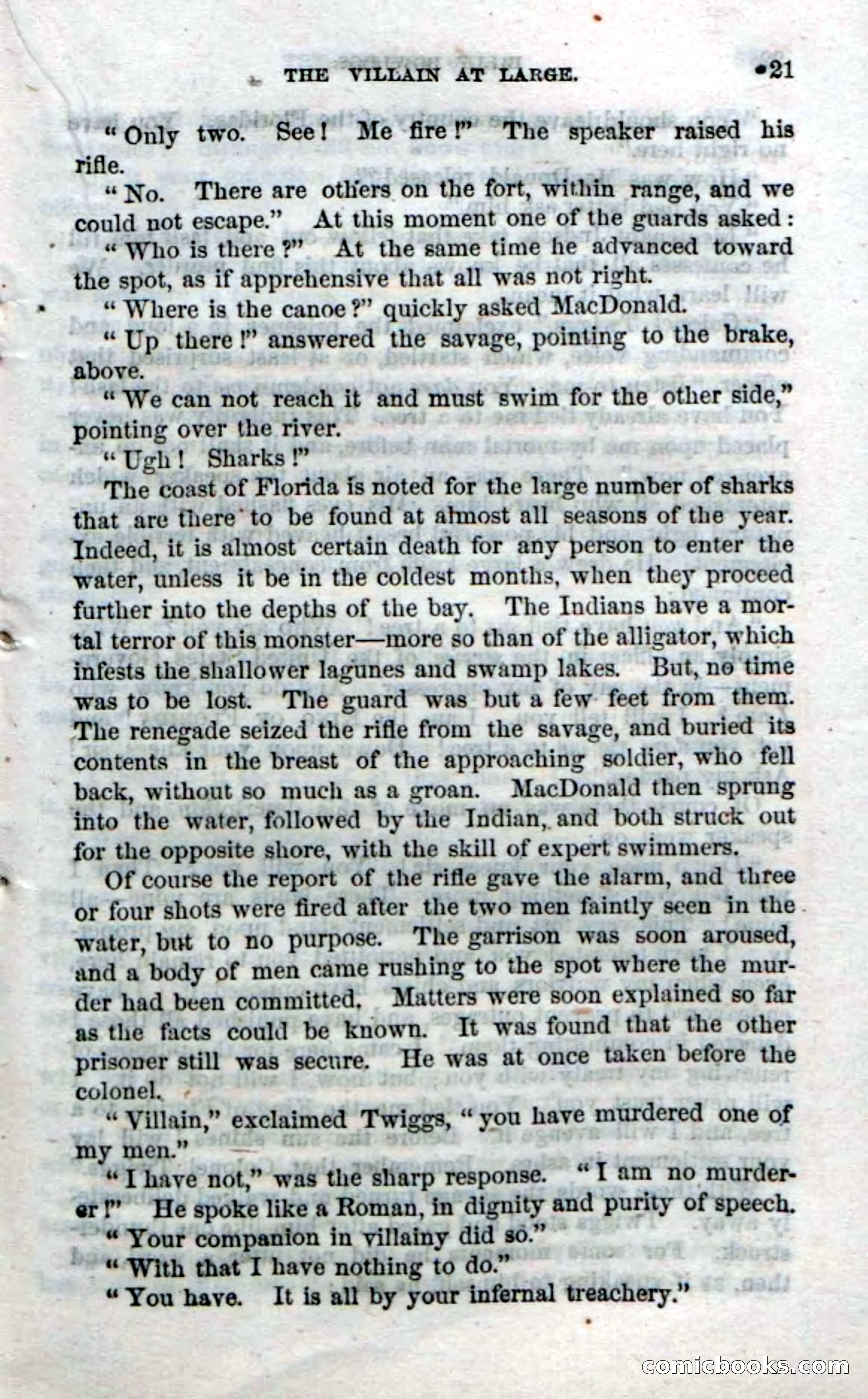 The Seminole Chief — page 19 of 100