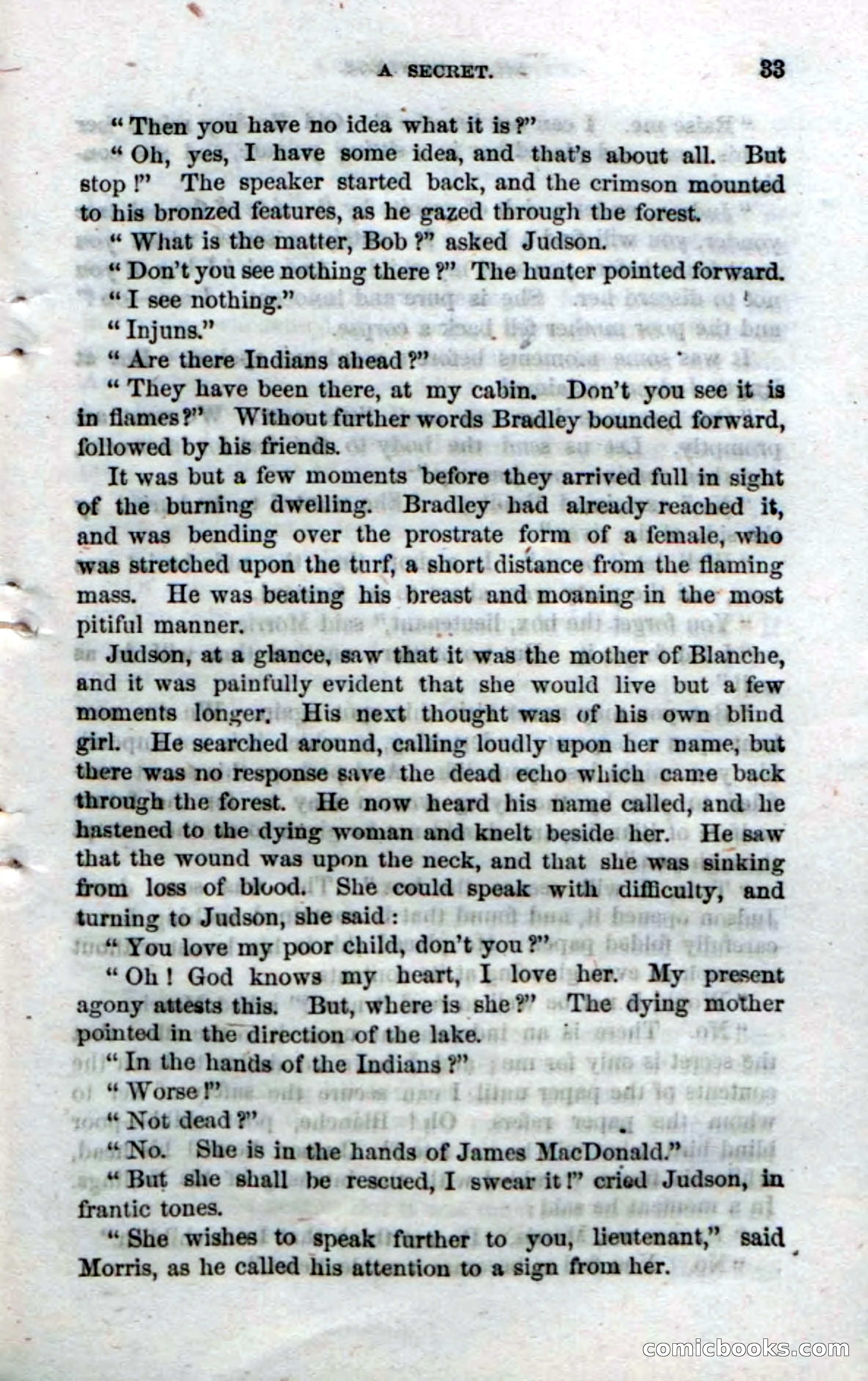 The Seminole Chief — page 31 of 100
