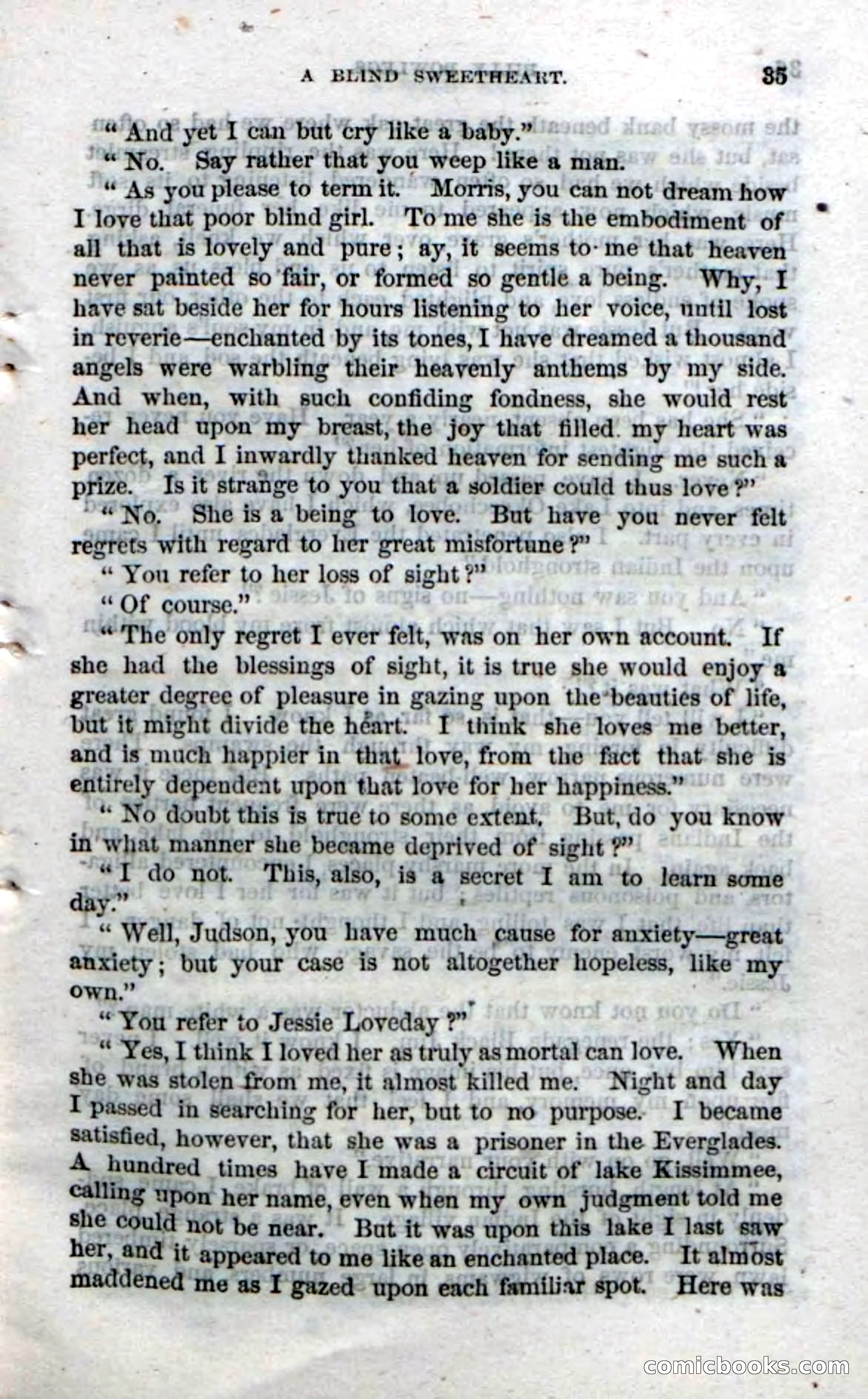 The Seminole Chief — page 33 of 100