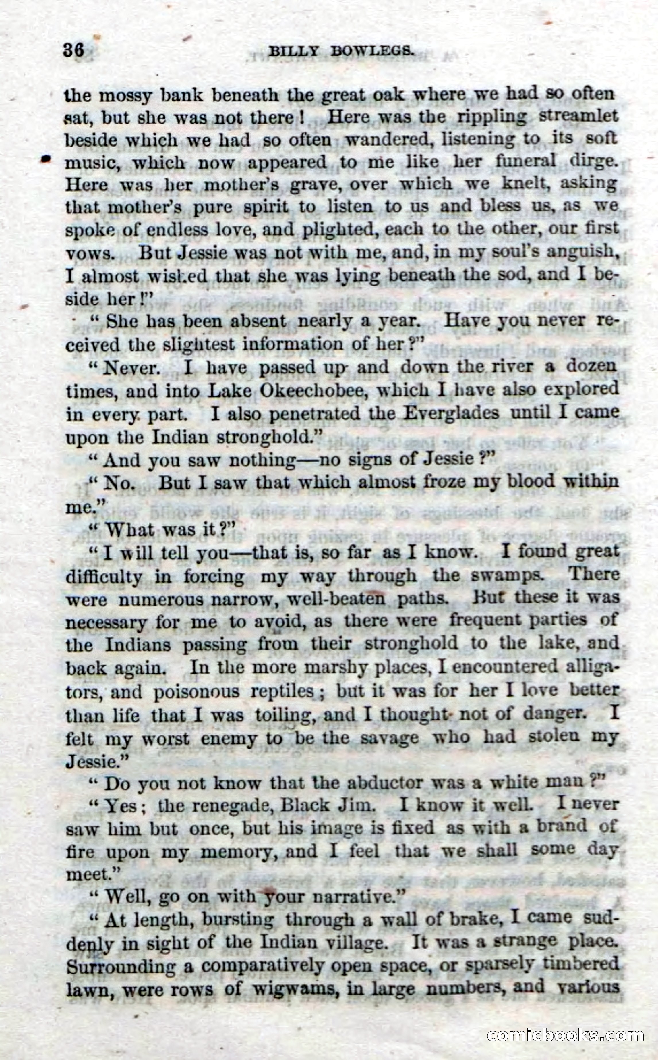The Seminole Chief — page 34 of 100