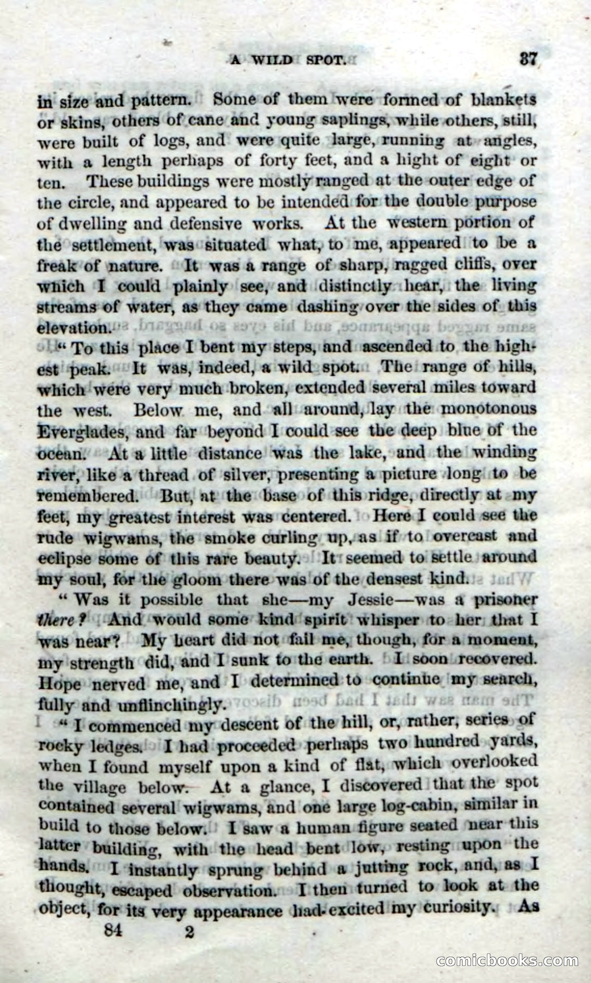 The Seminole Chief — page 35 of 100