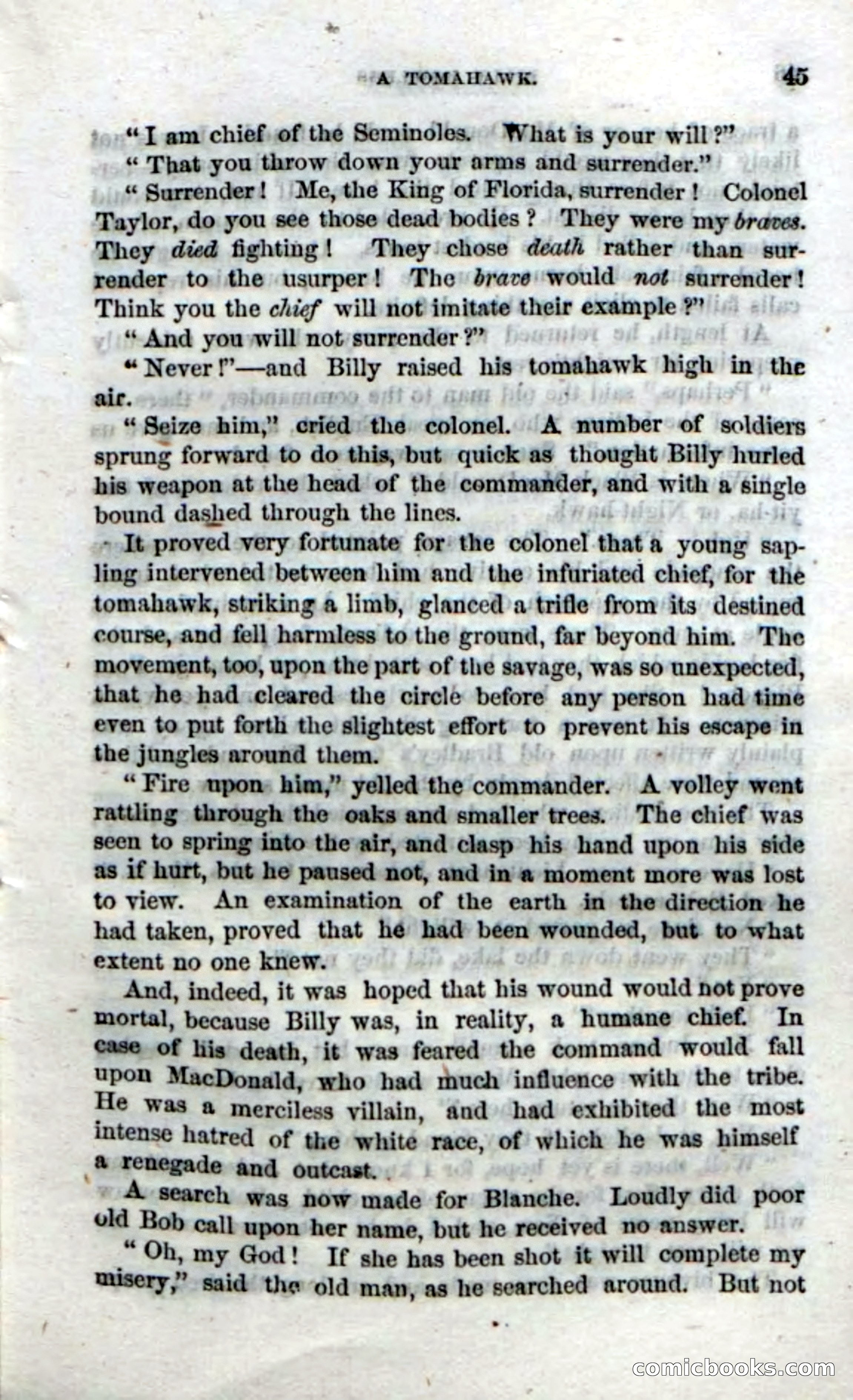The Seminole Chief — page 43 of 100