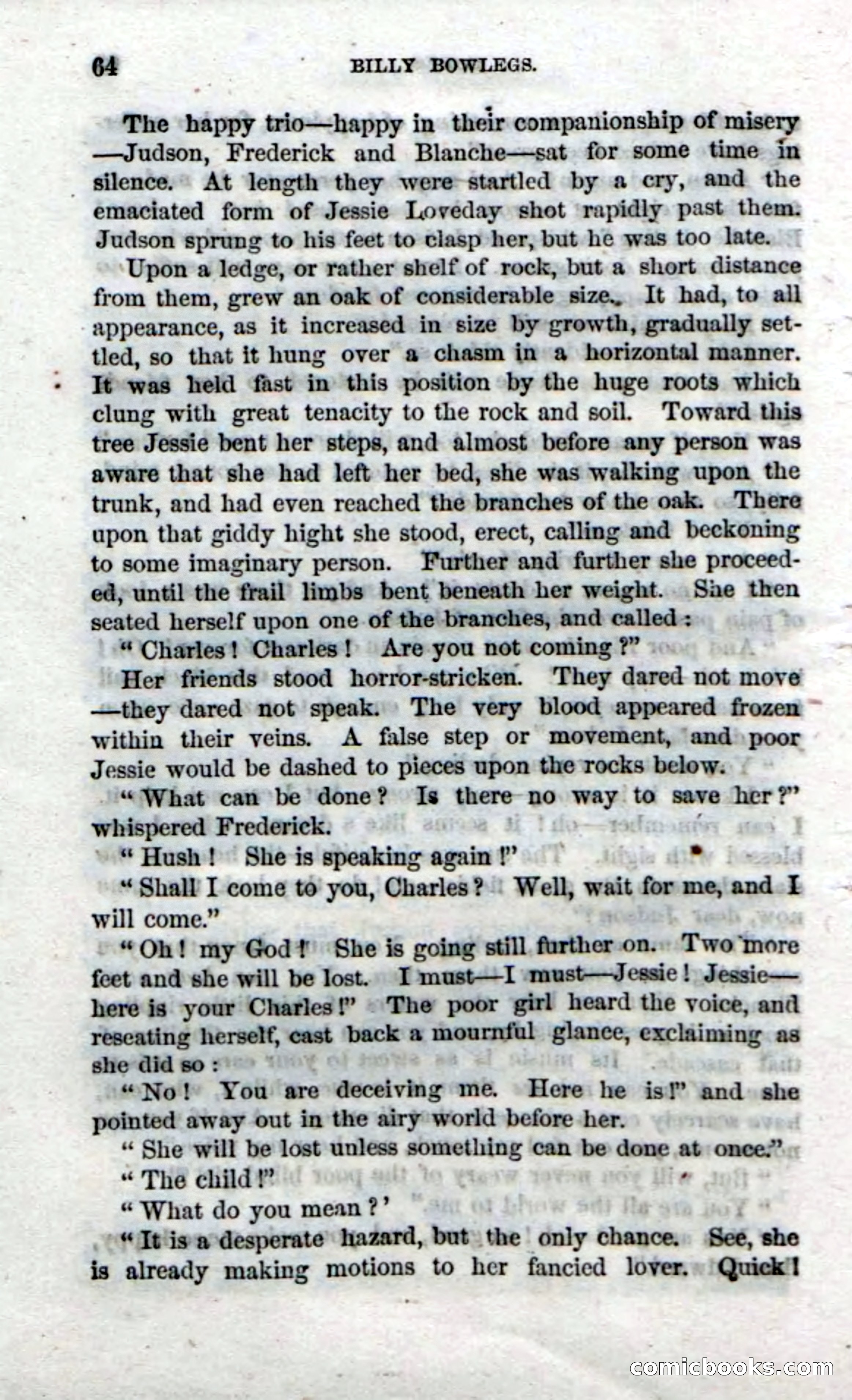 The Seminole Chief — page 62 of 100