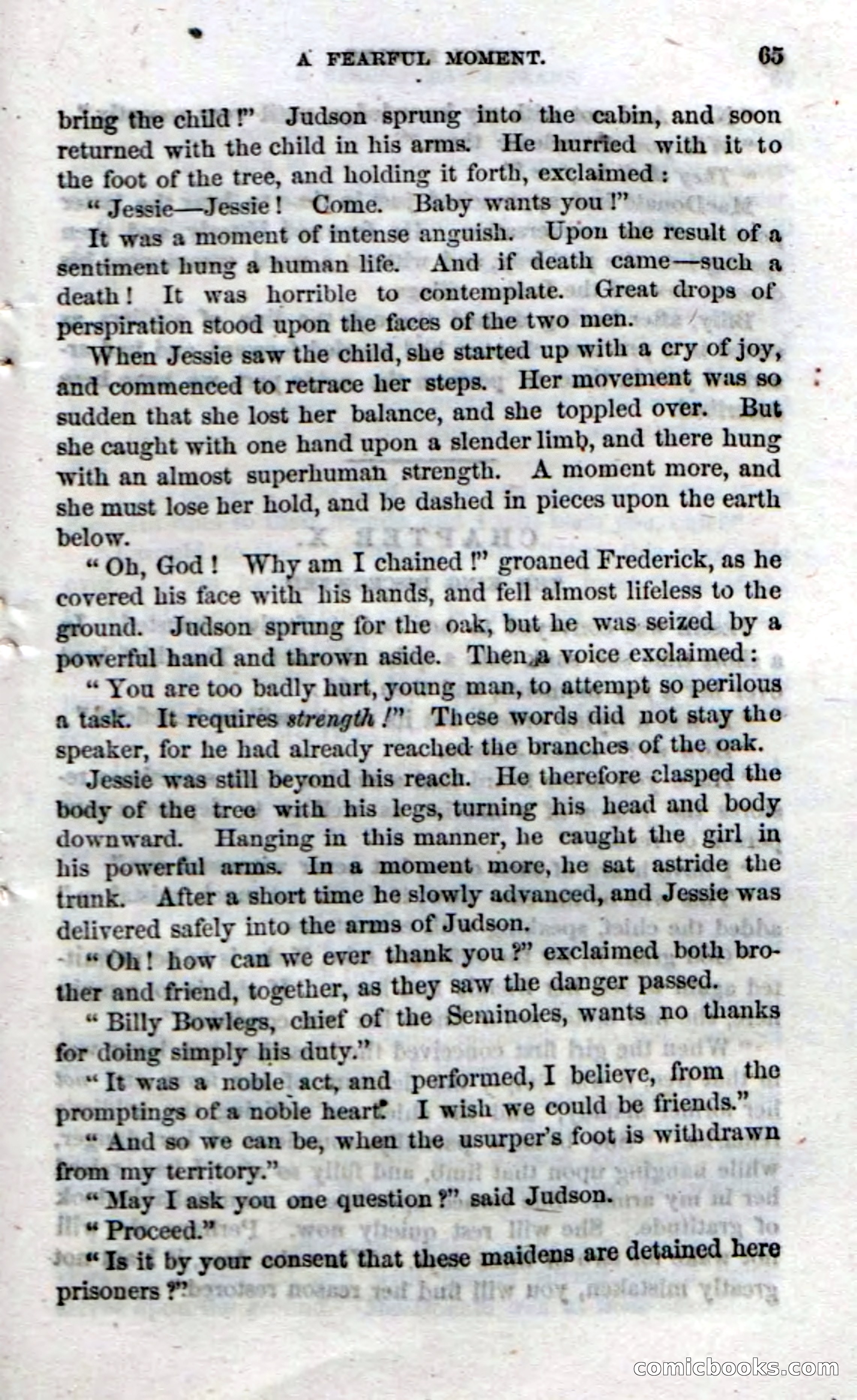 The Seminole Chief — page 63 of 100