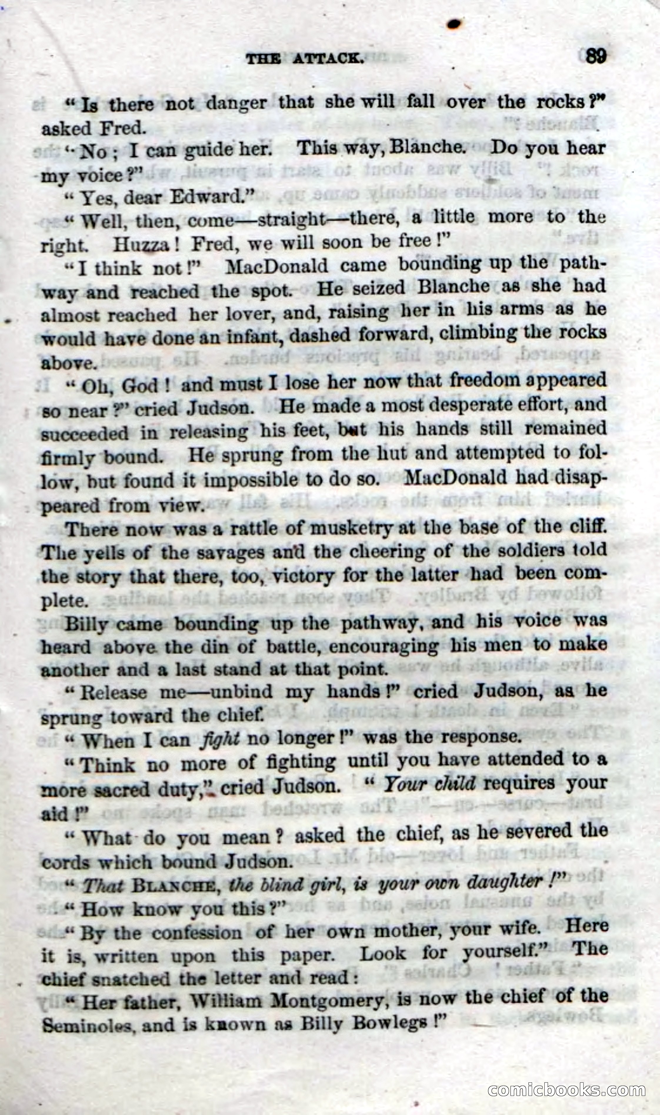The Seminole Chief — page 87 of 100