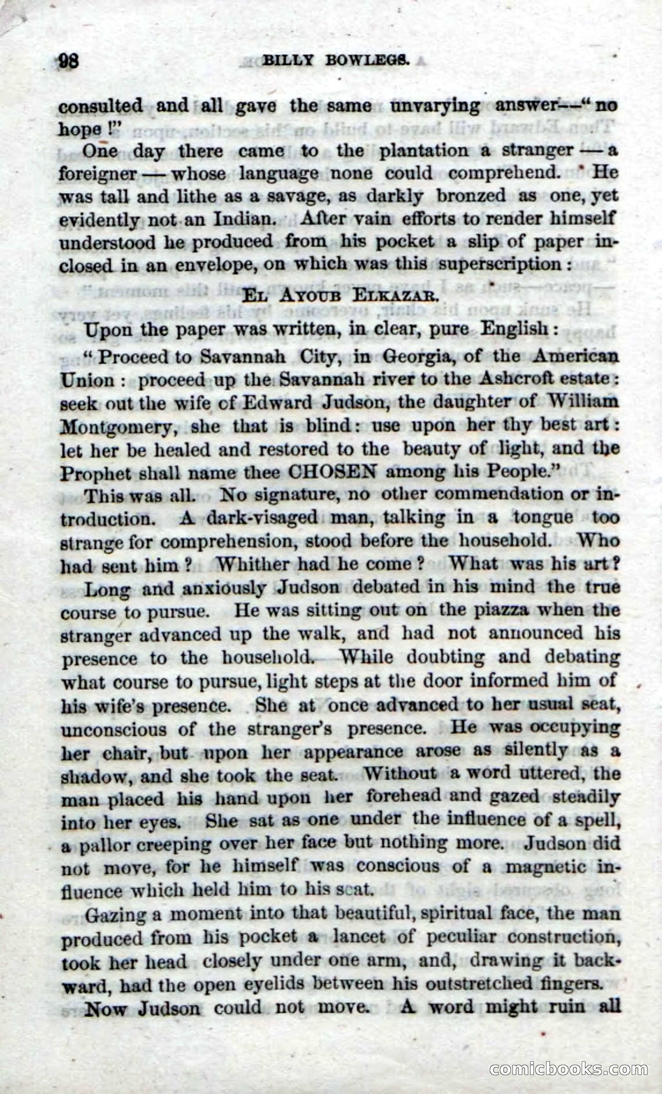 The Seminole Chief — page 96 of 100