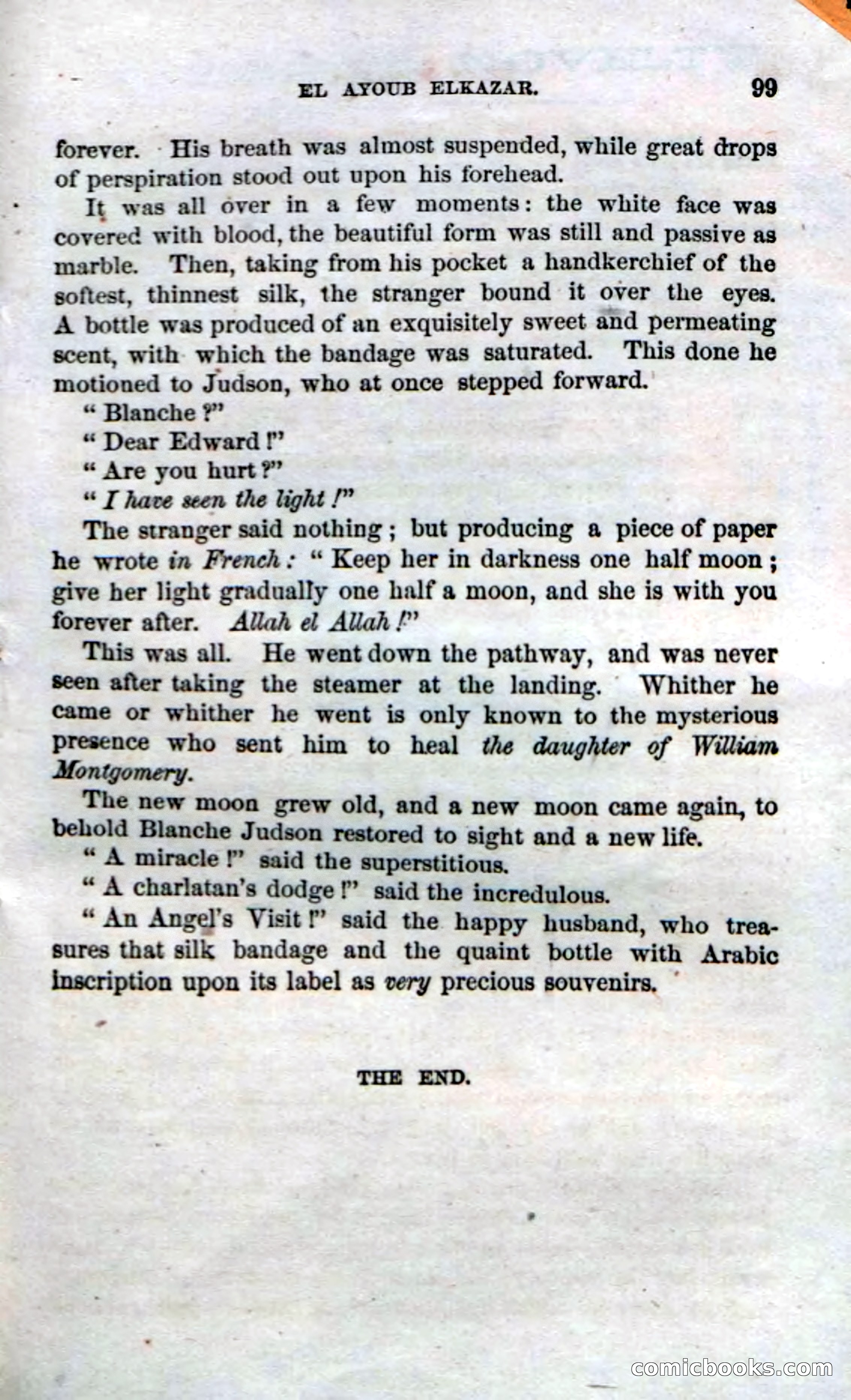 The Seminole Chief — page 97 of 100