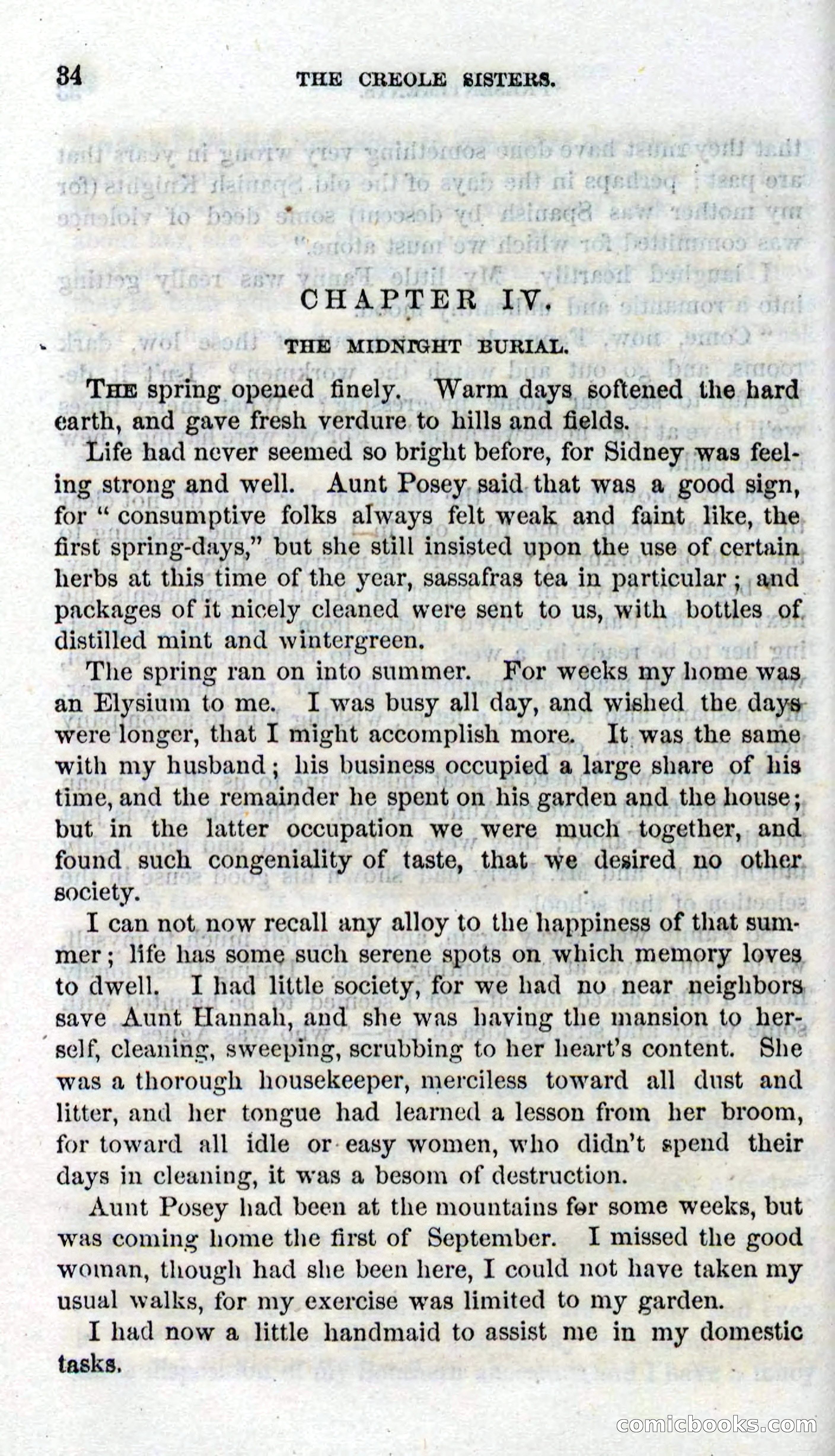 Beadle's Dime Novels No. 93: The Creole Sisters — page 32 of 100