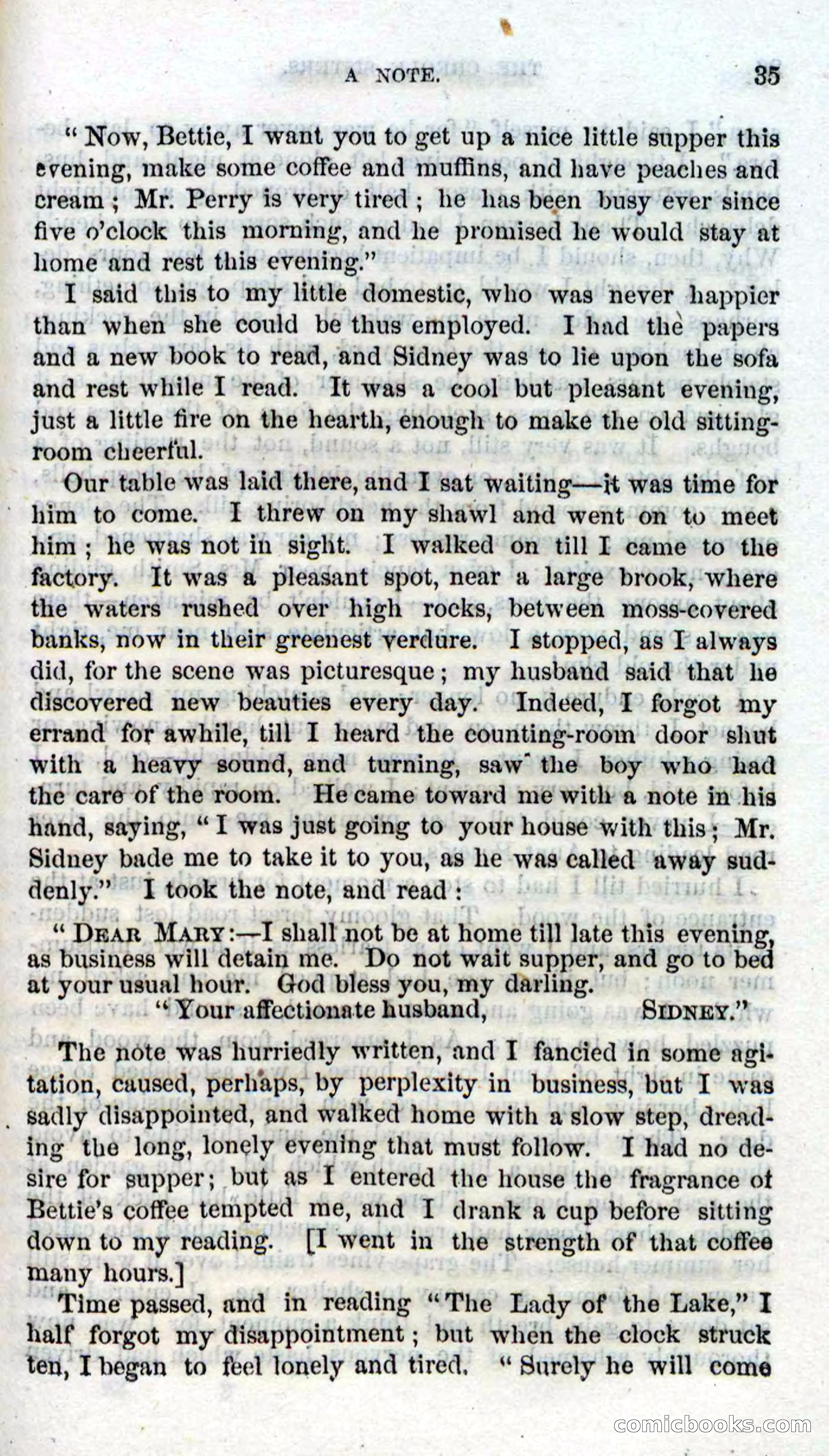 Beadle's Dime Novels No. 93: The Creole Sisters — page 33 of 100