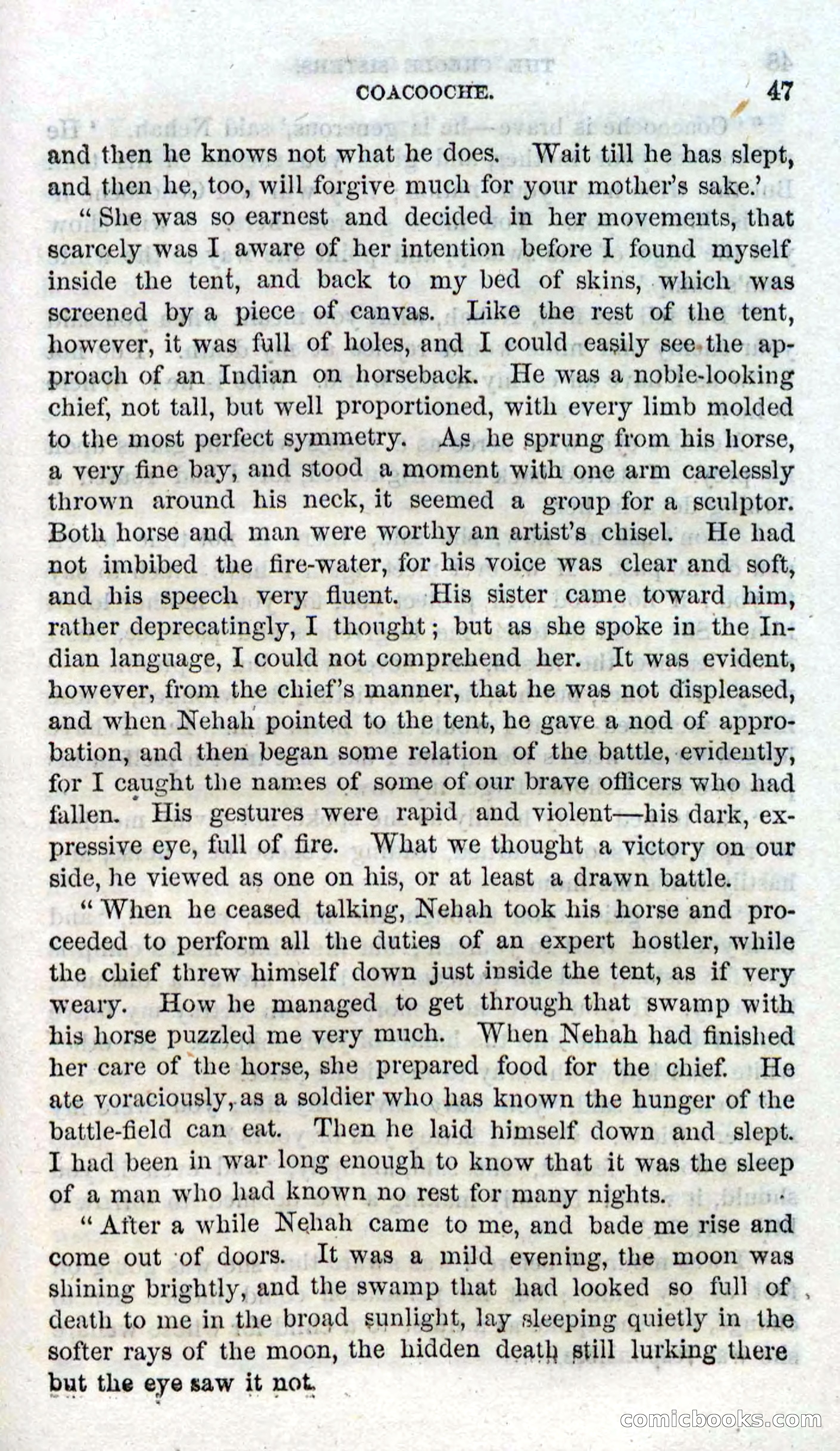 Beadle's Dime Novels No. 93: The Creole Sisters — page 45 of 100
