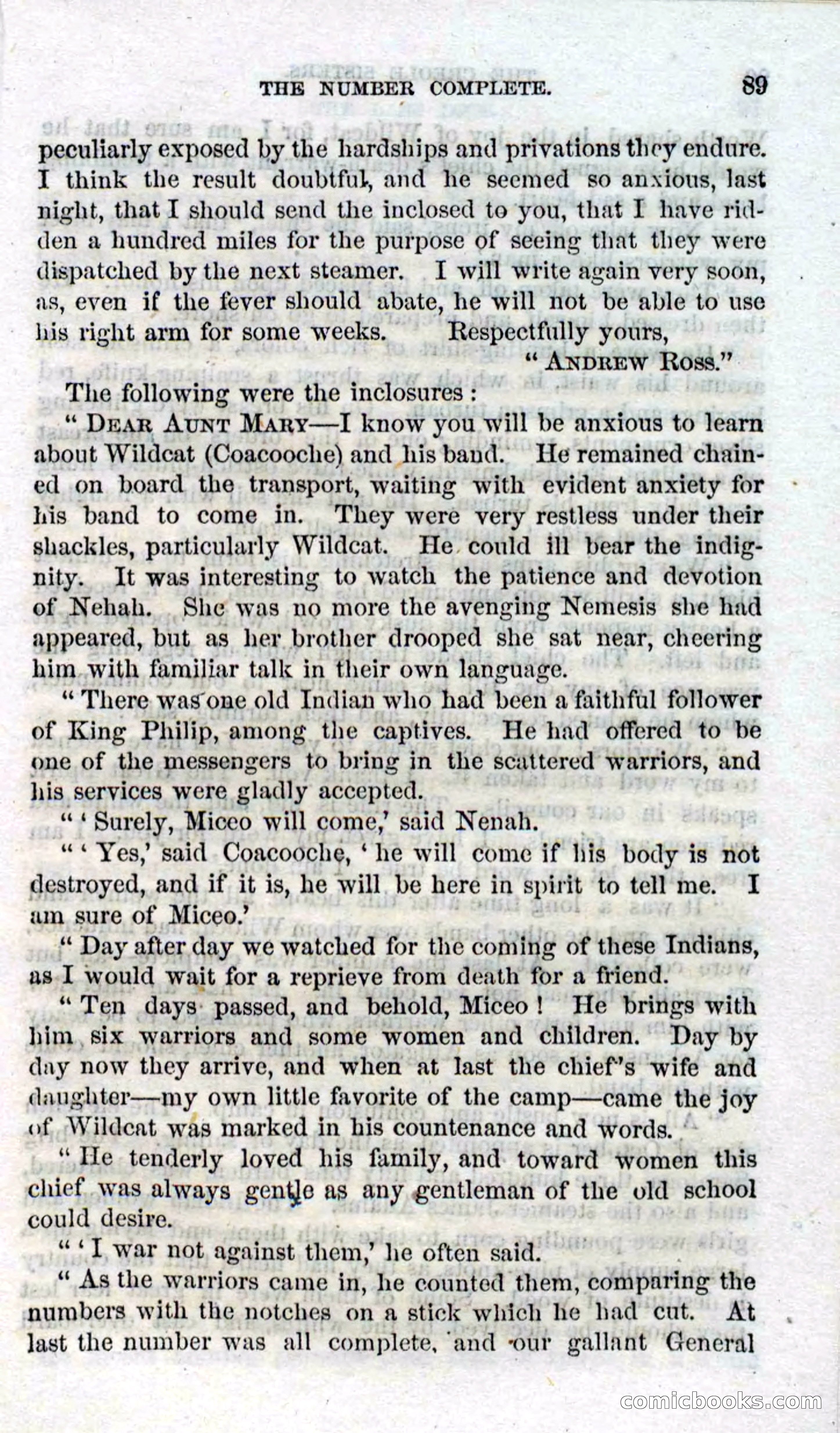 Beadle's Dime Novels No. 93: The Creole Sisters — page 87 of 100