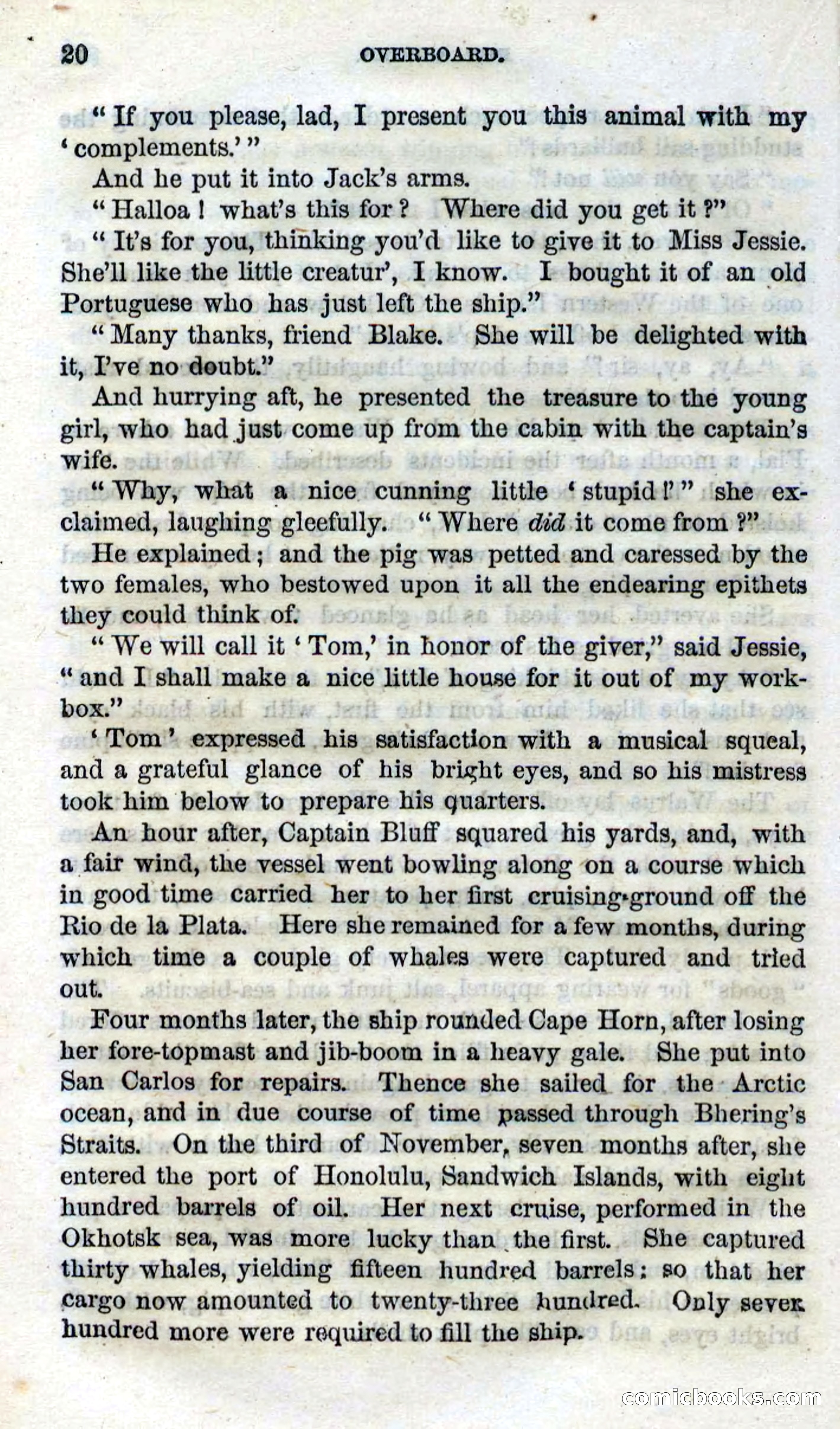 Beadle's Dime Novels No. 99: Overboard — page 18 of 100