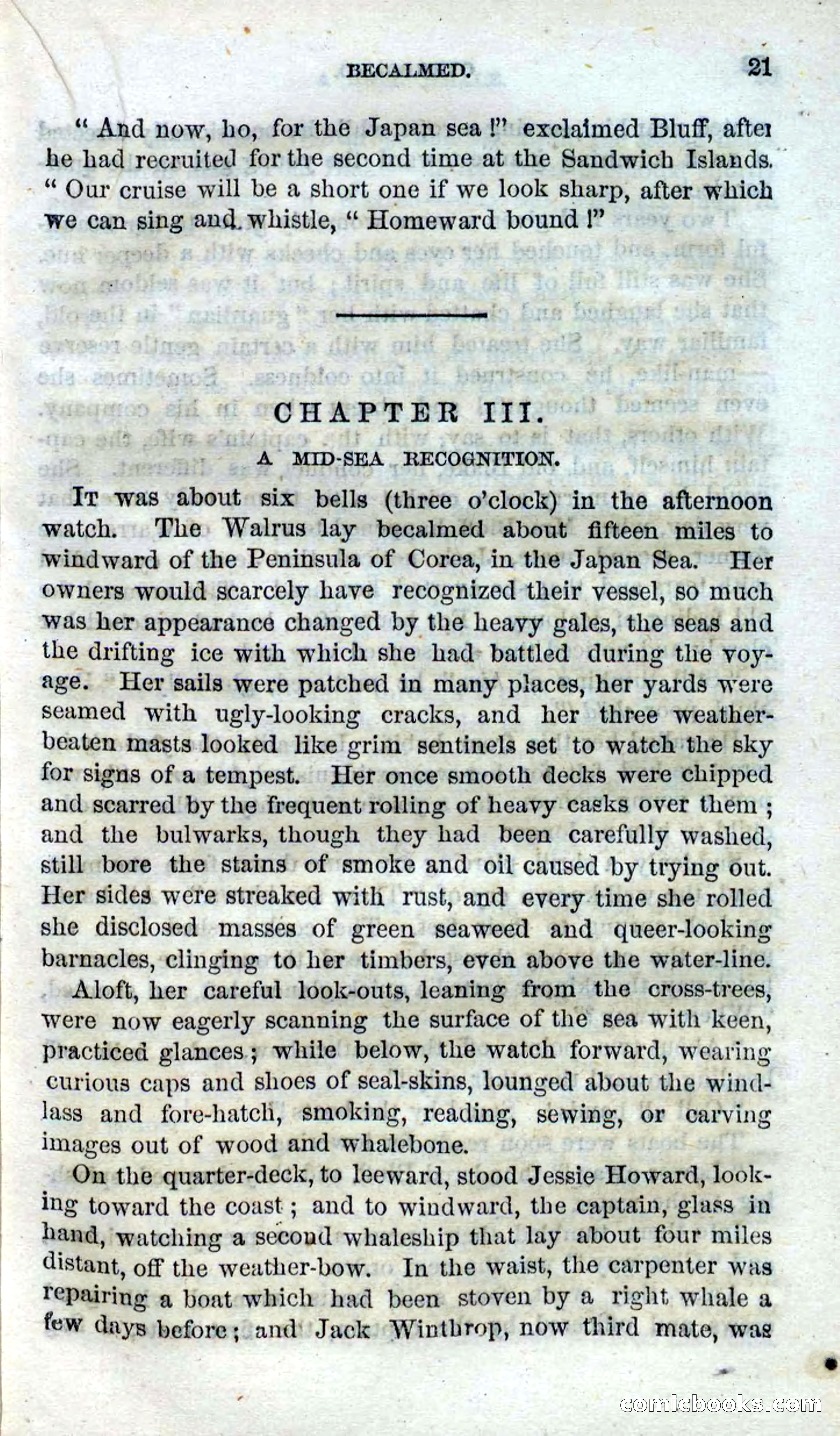 Beadle's Dime Novels No. 99: Overboard — page 19 of 100