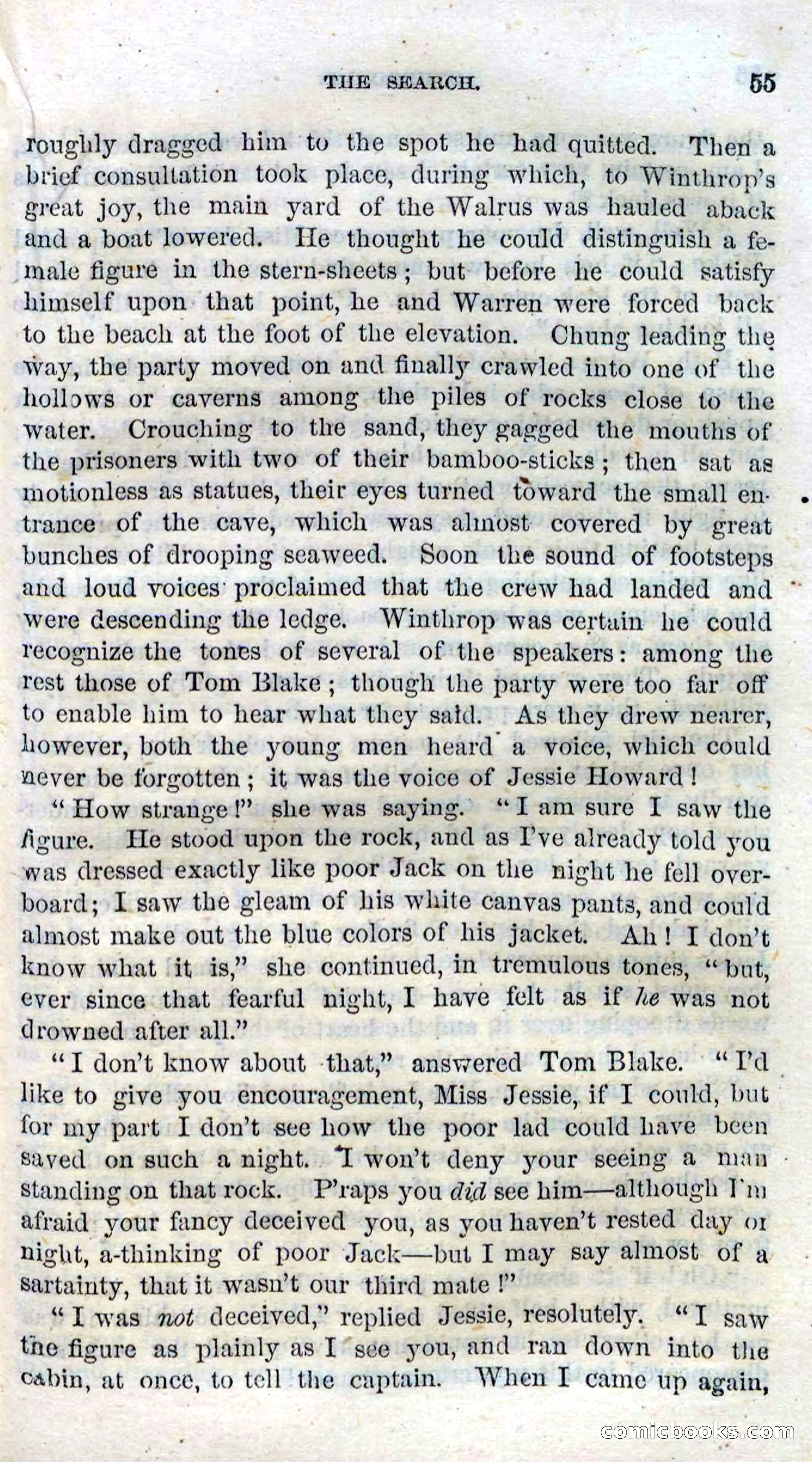 Beadle's Dime Novels No. 99: Overboard — page 53 of 100