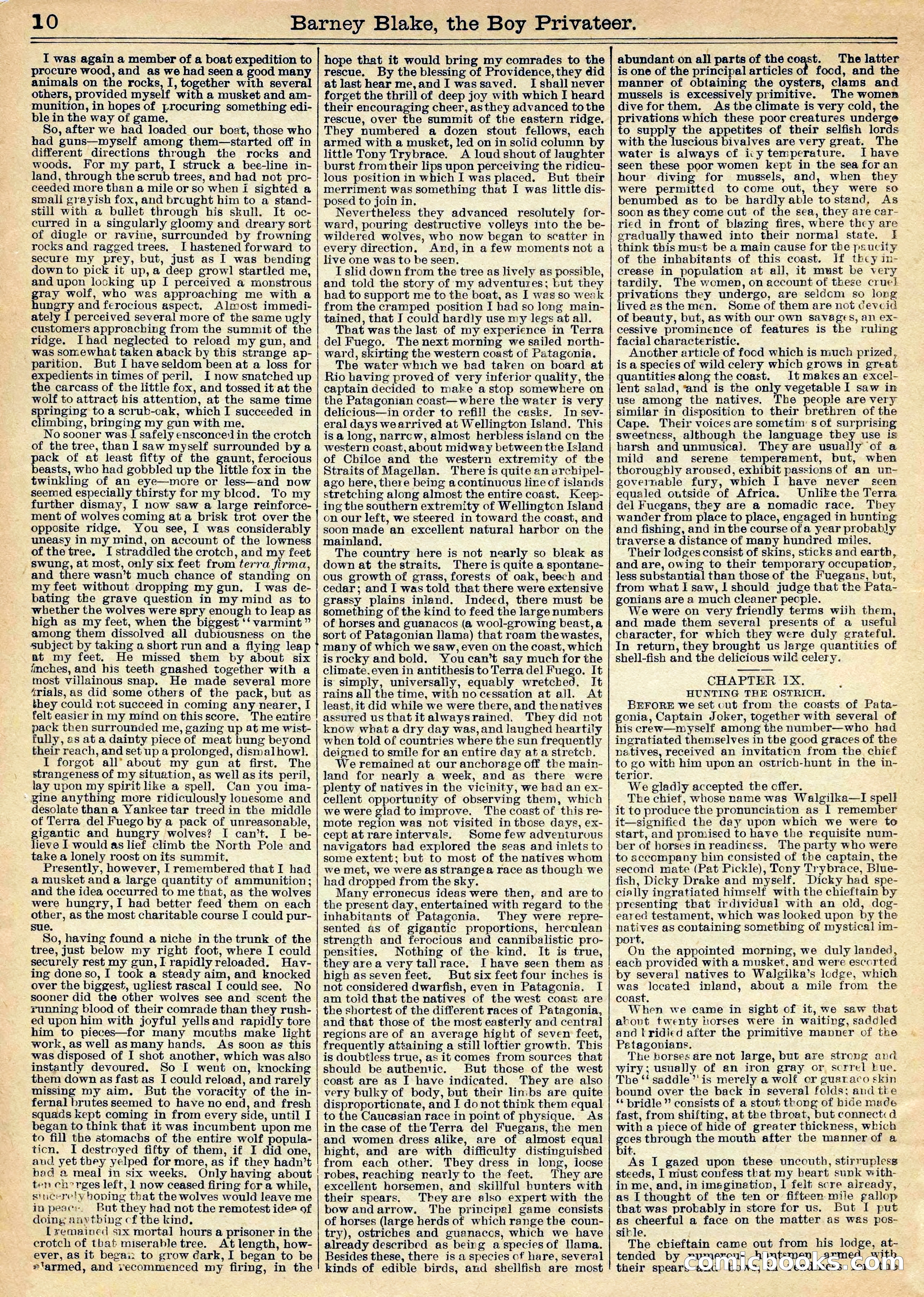 Beadle's Half Dime Library No. 1020 — page 10 of 17