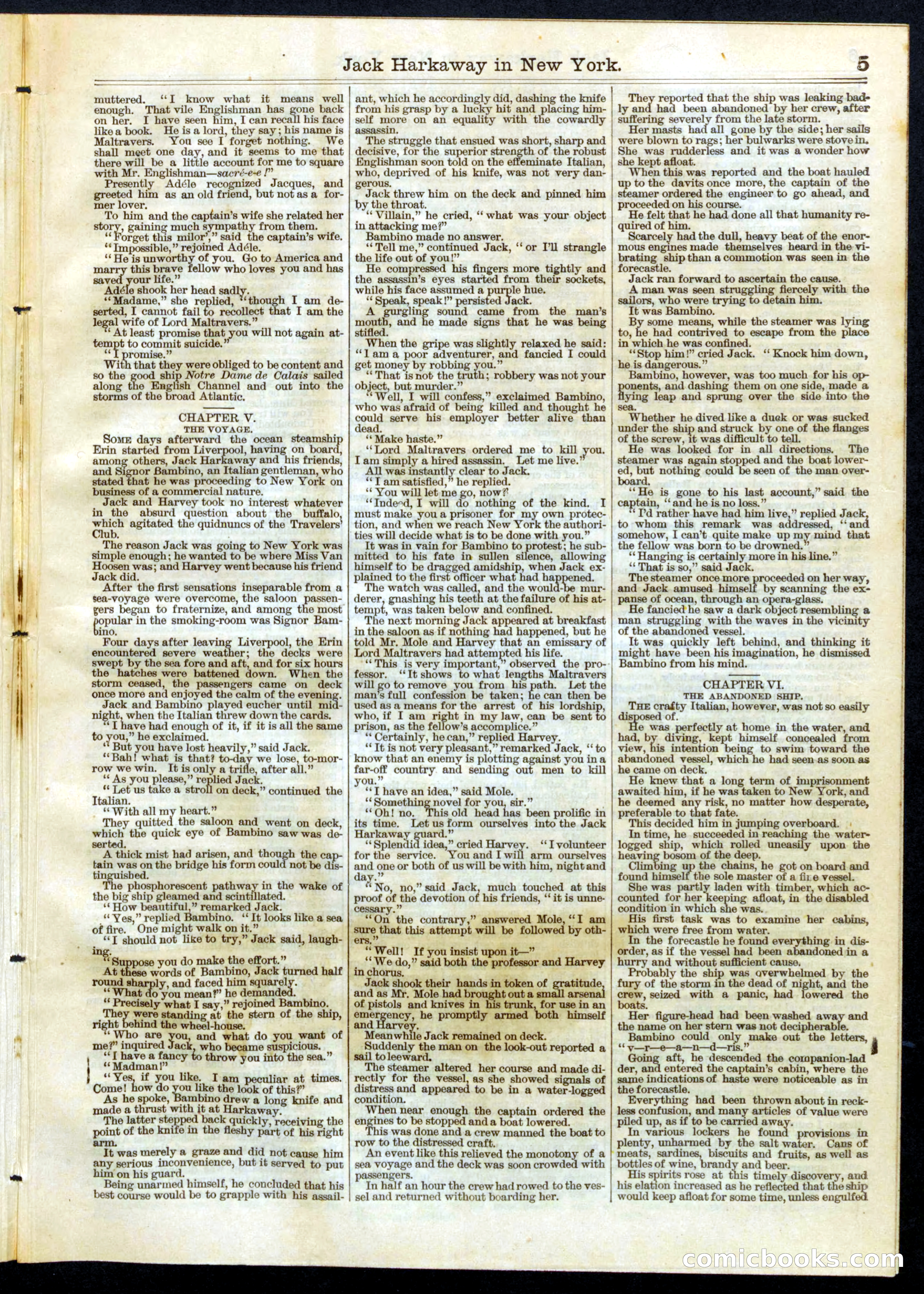 Beadle's Half Dime Library No. 101 — page 5 of 16