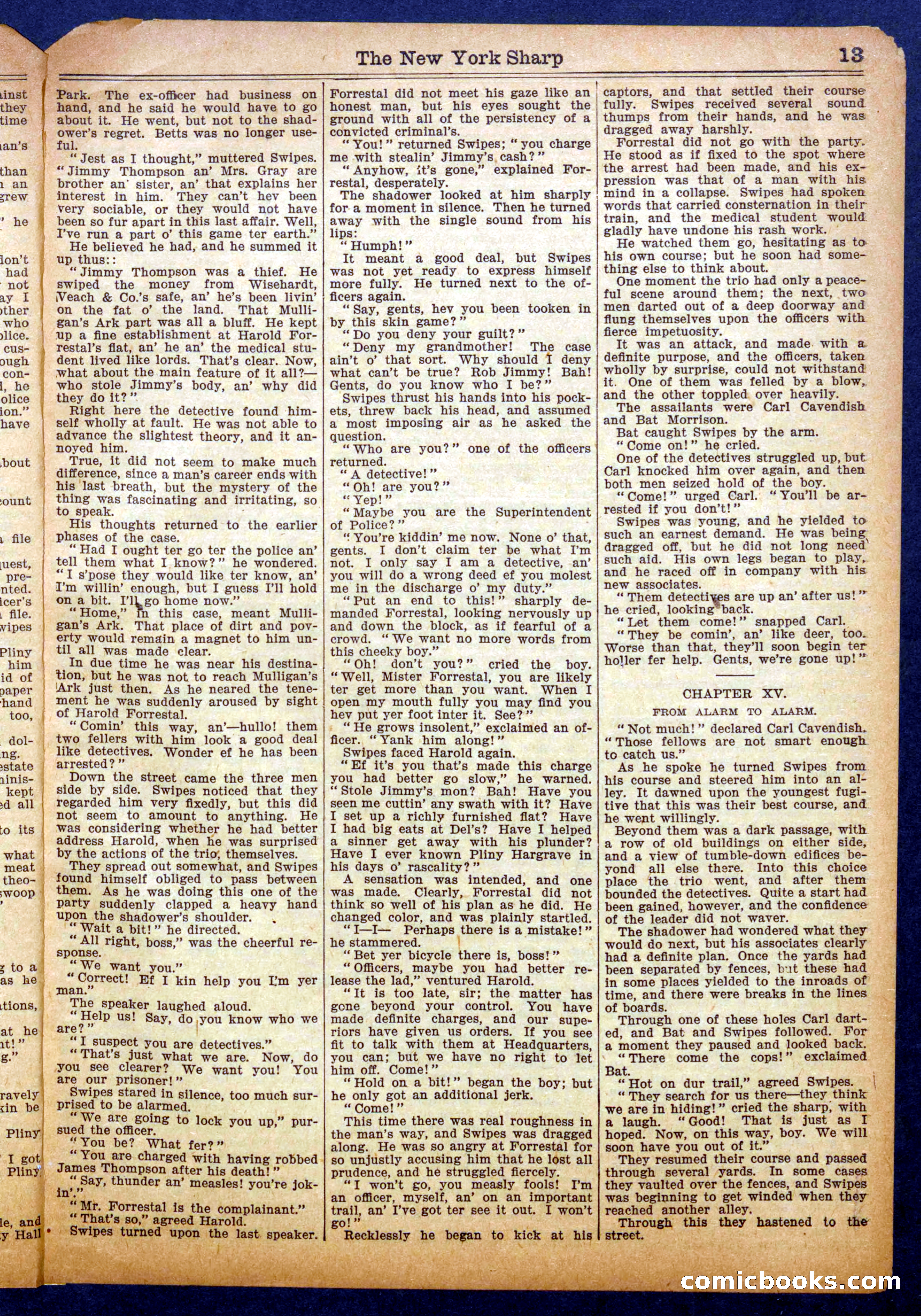 The New York Shark by Brander Halliday — page 13 of 16