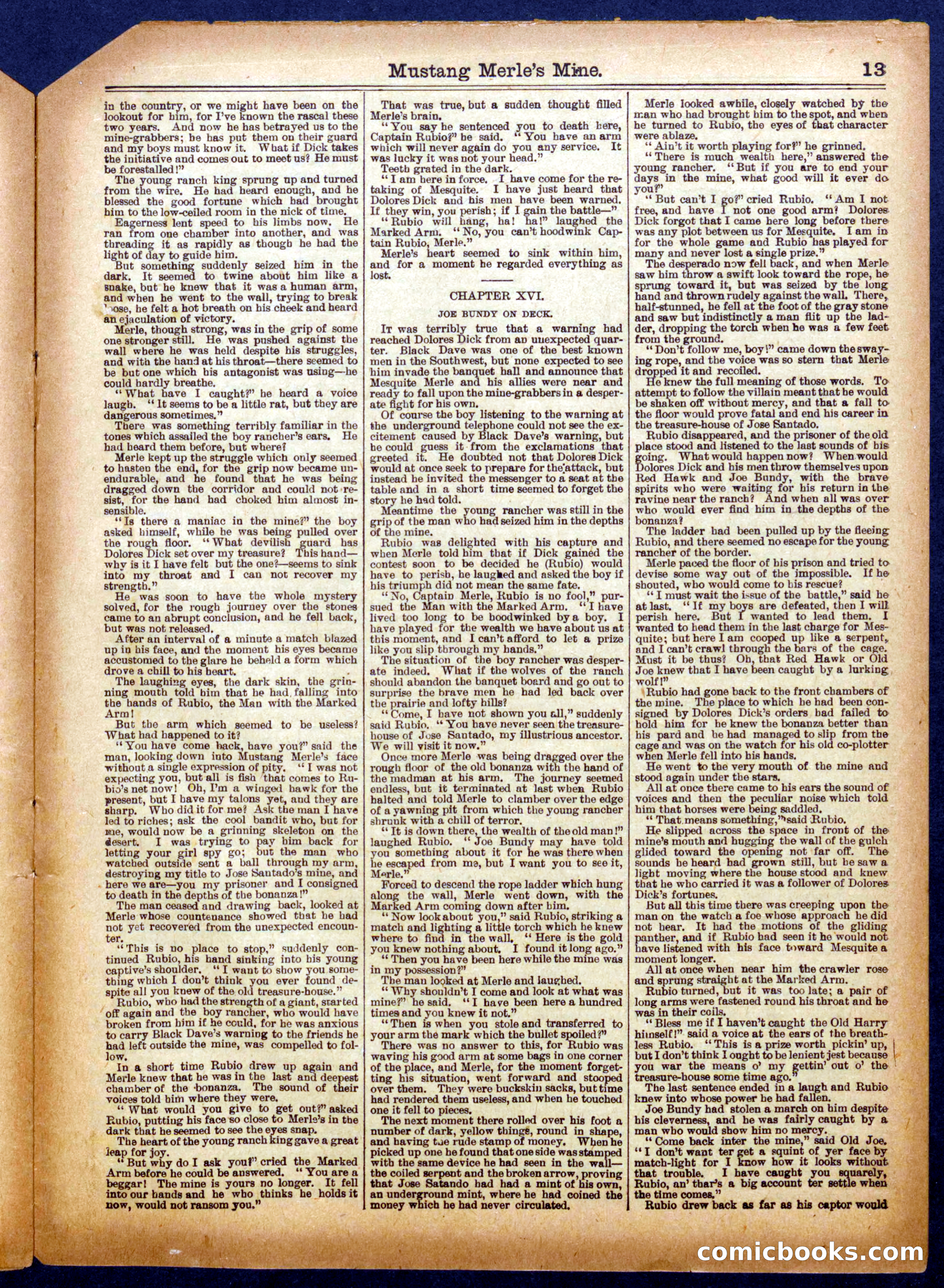 Mustang Merle's Mine; or, Dolores Dick and Pard — page 13 of 16