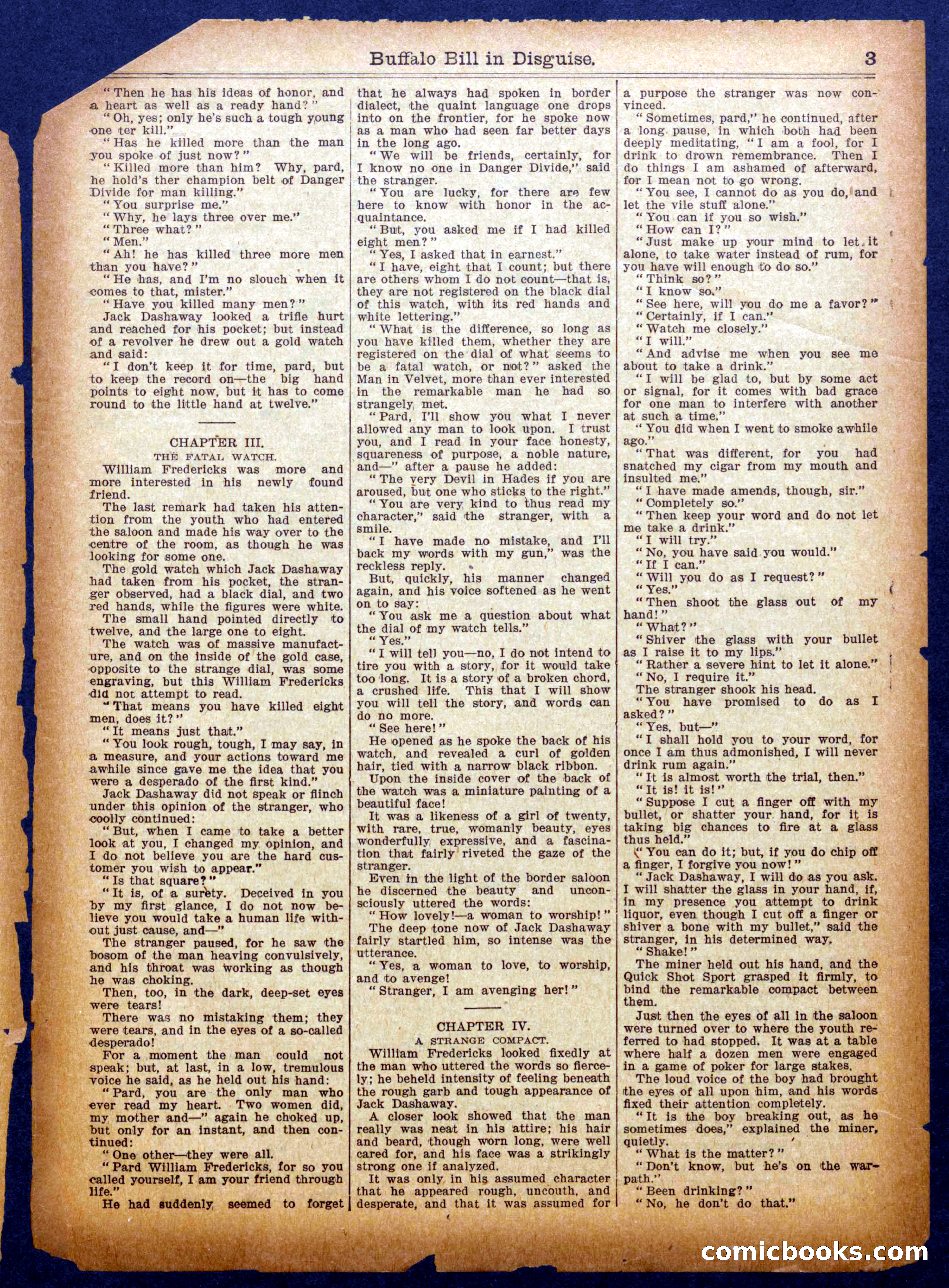 Buffalo Bill in Disguise — page 3 of 16