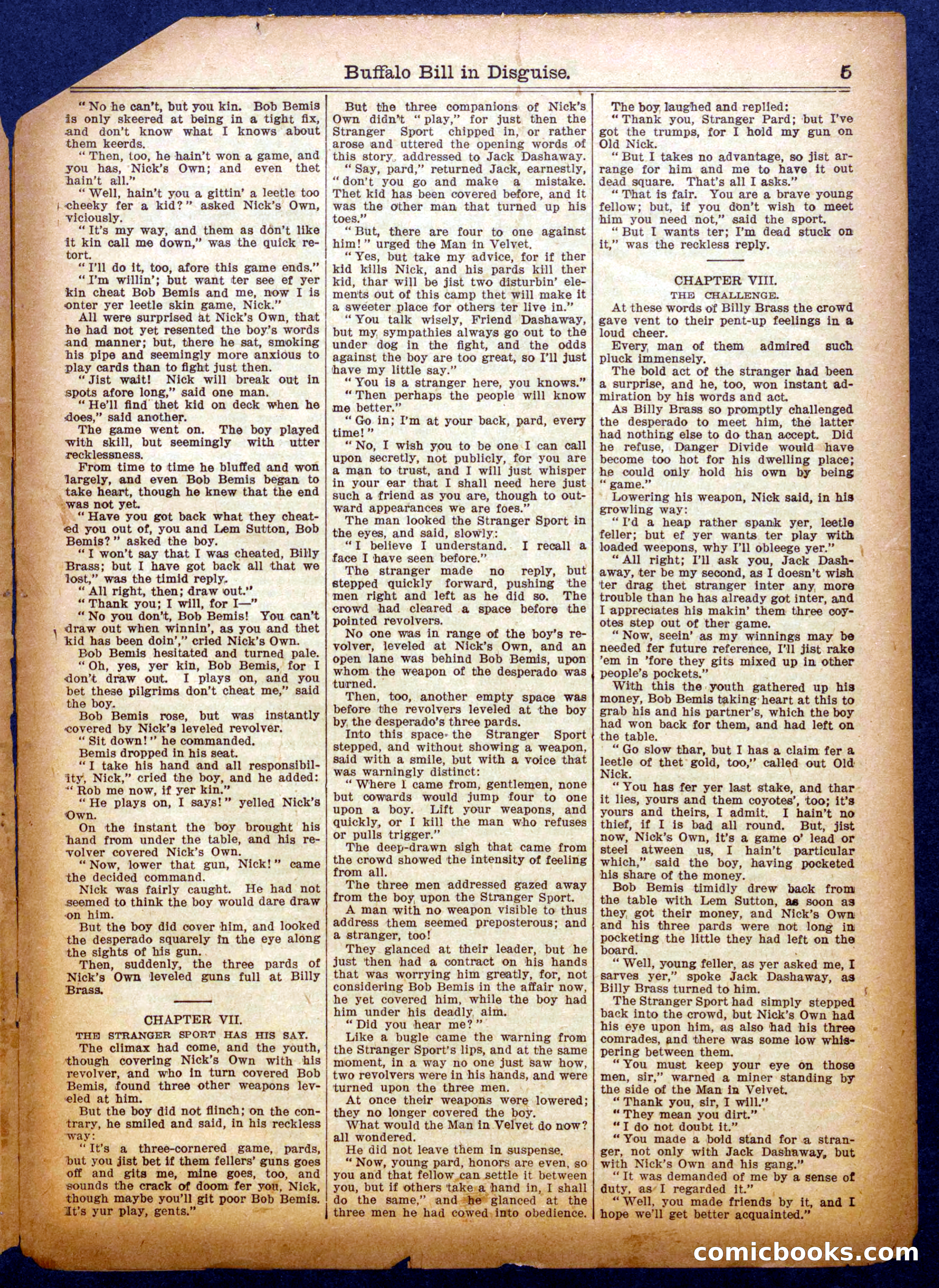 Buffalo Bill in Disguise — page 5 of 16