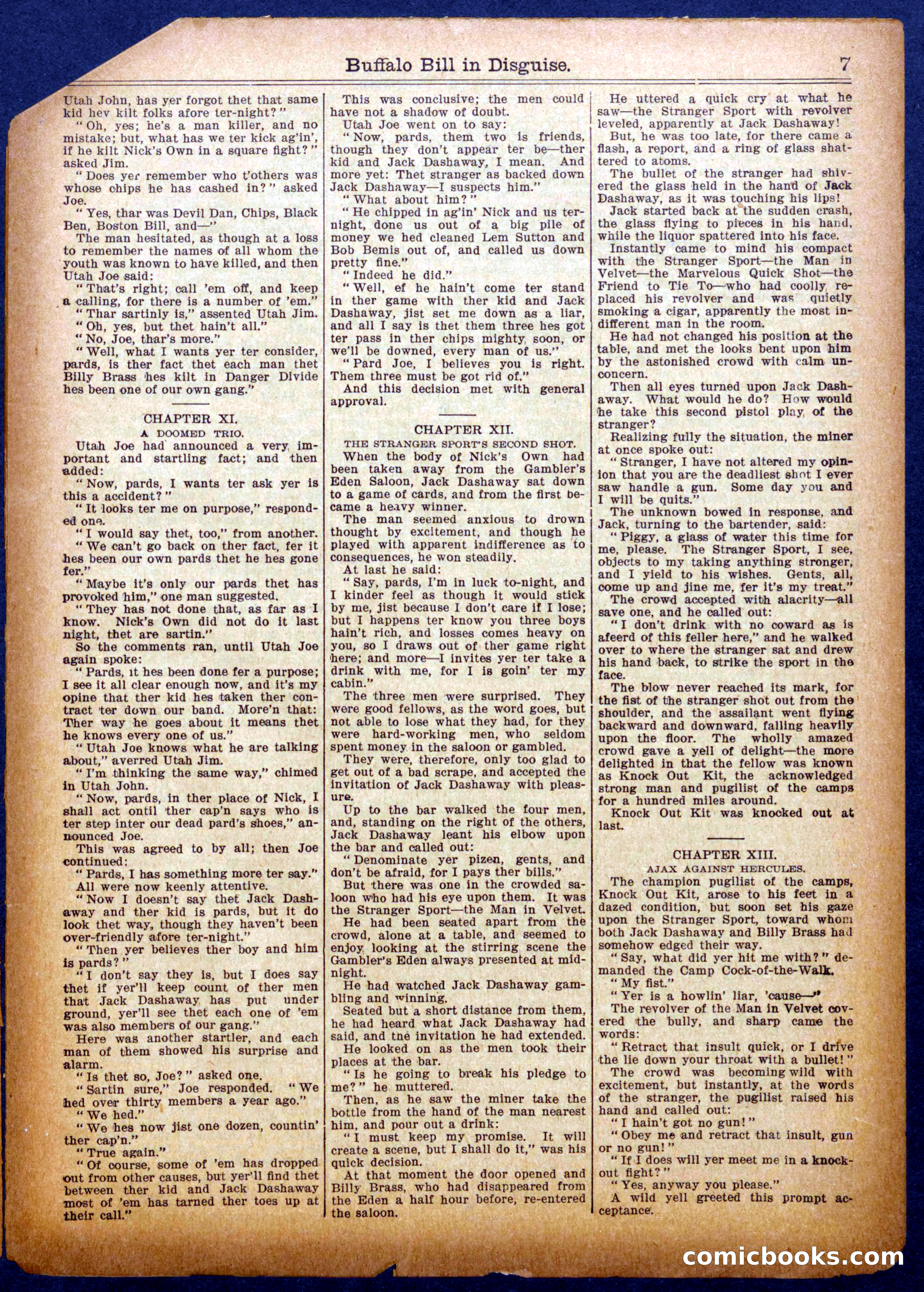 Buffalo Bill in Disguise — page 7 of 16