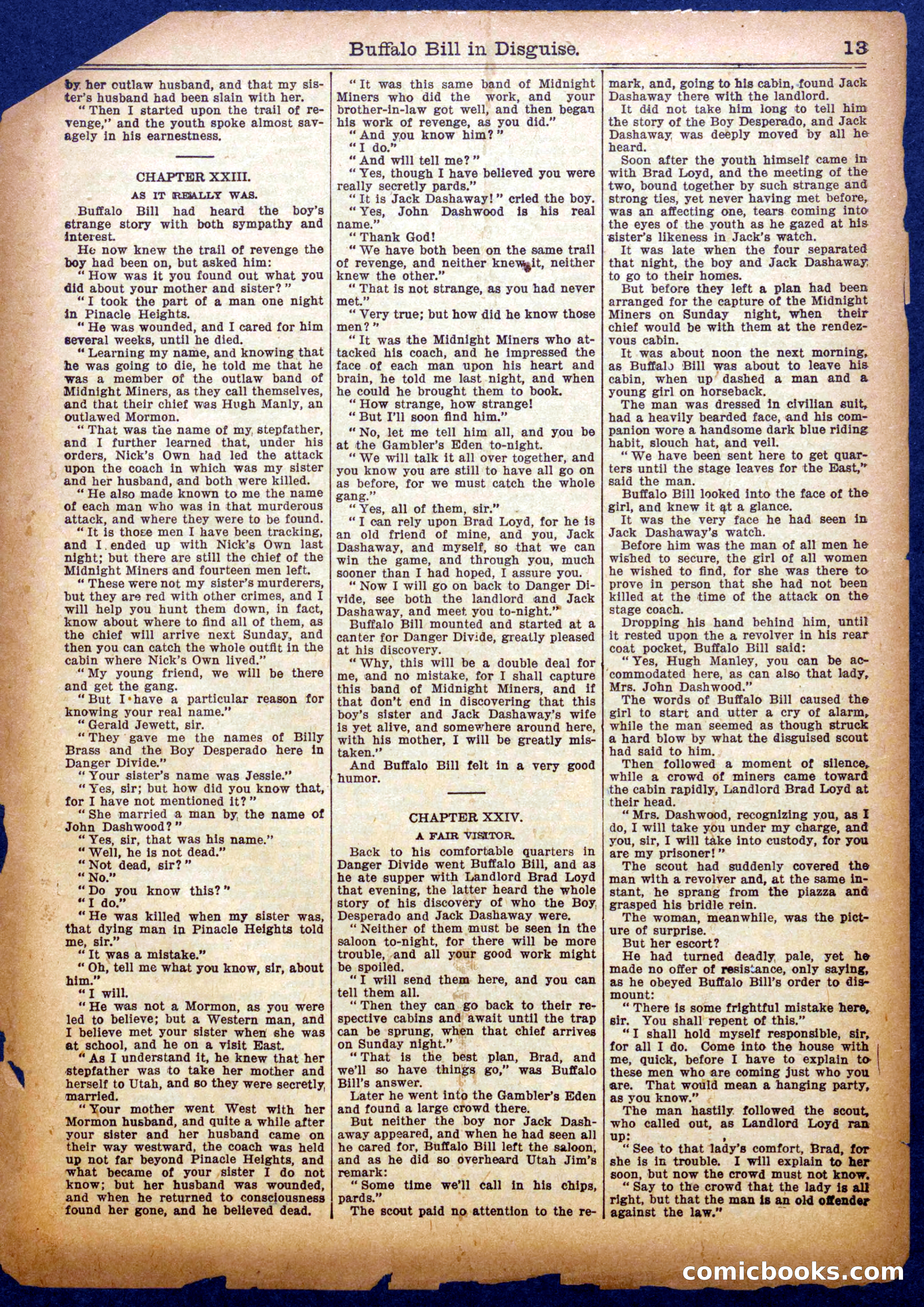 Buffalo Bill in Disguise — page 13 of 16