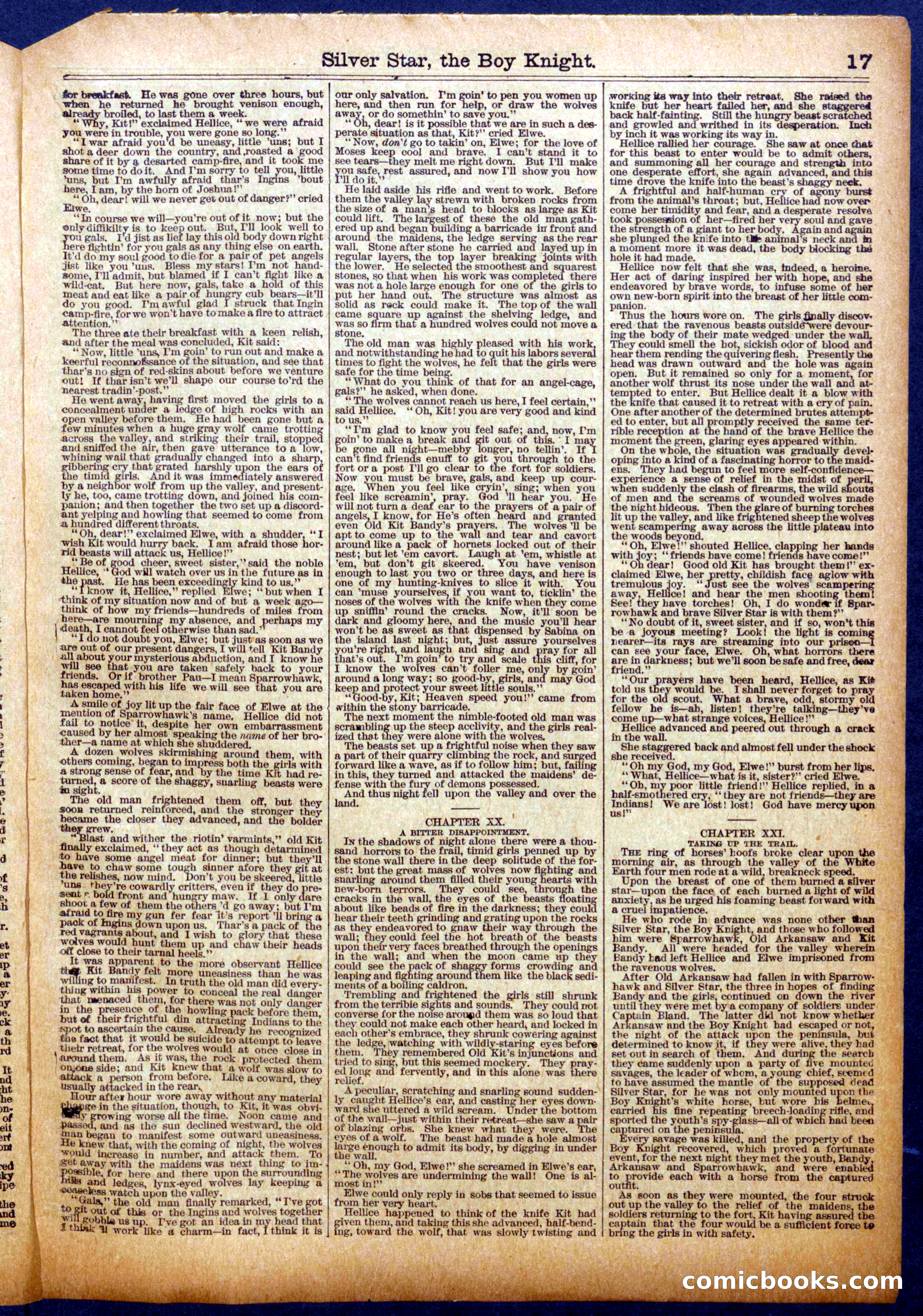 The Half Dime Library, No. 1061 — page 17 of 24