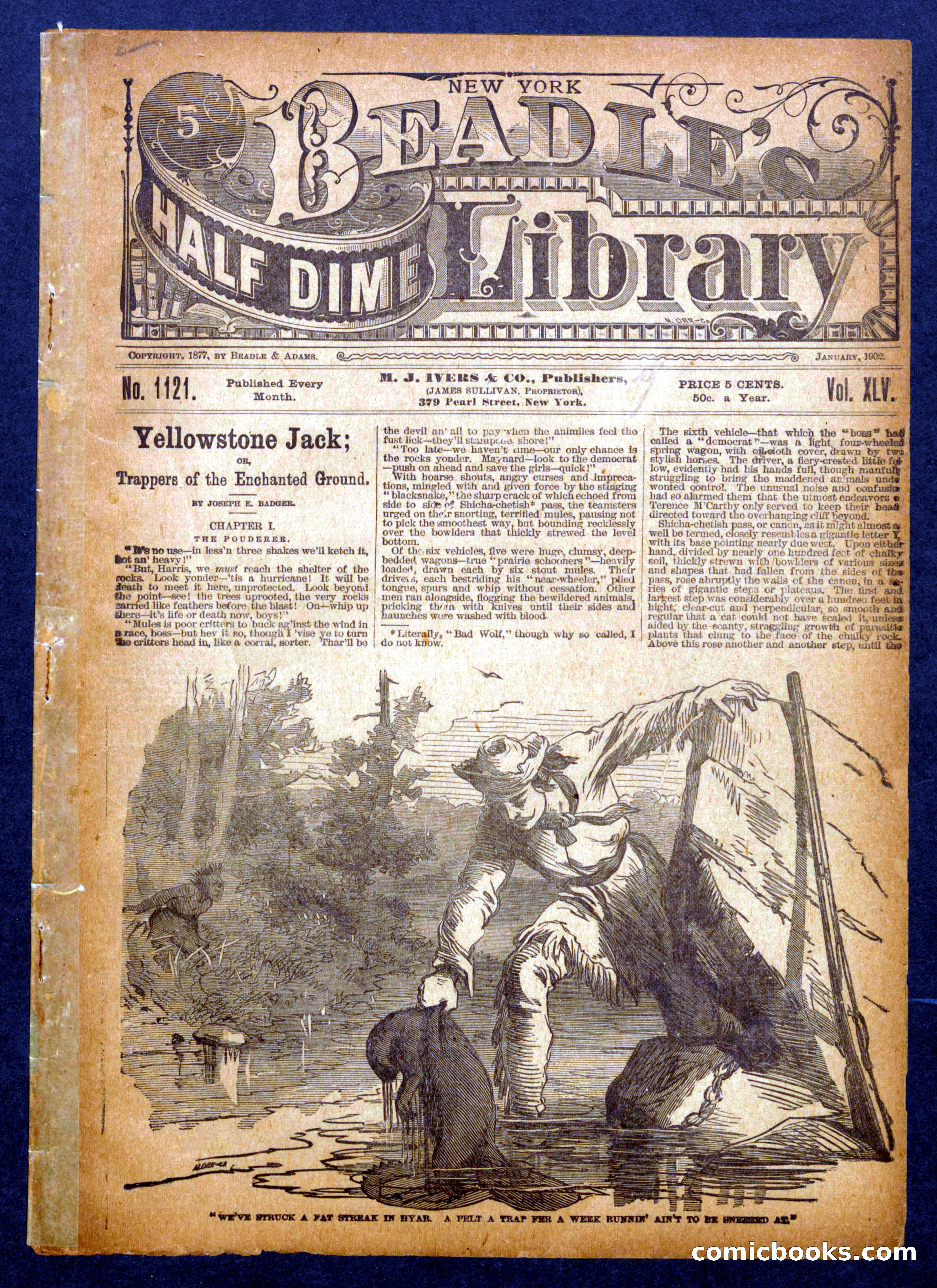 Beadle's Half Dime Library, No. 1121