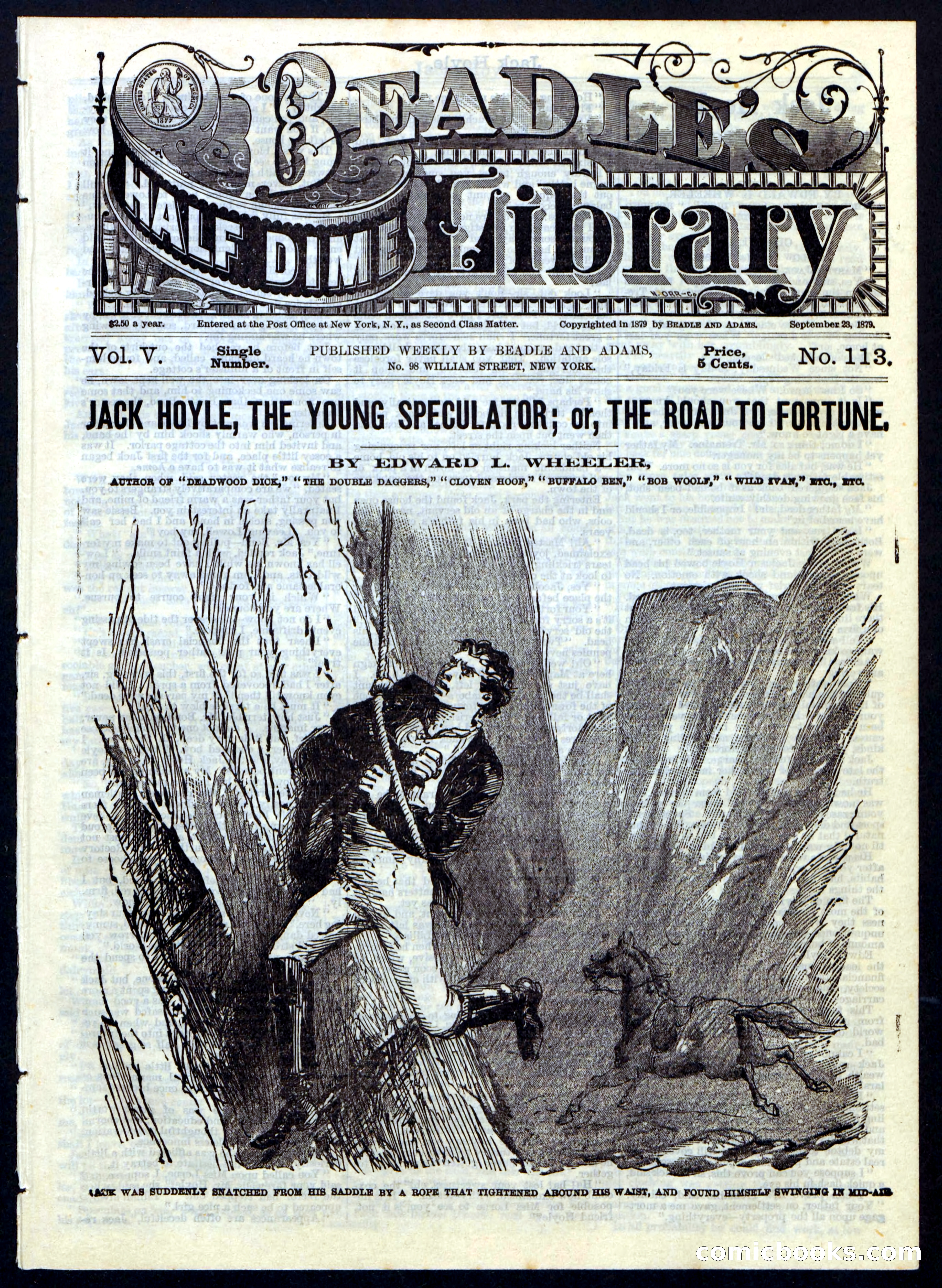 Beadle's Half Dime Library, No. 118