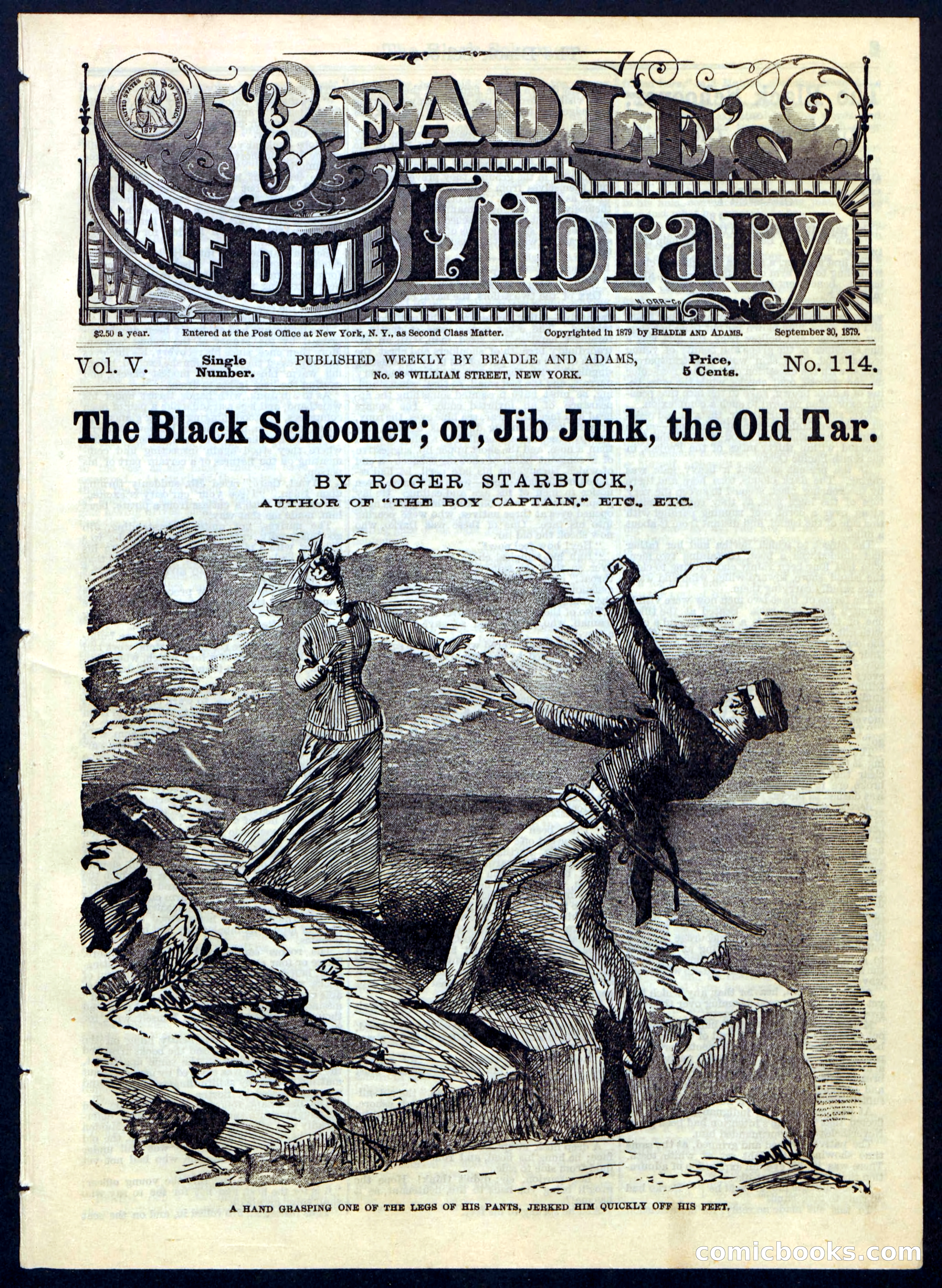 The Black Schooner; or, Jib Junk, the Old Tar