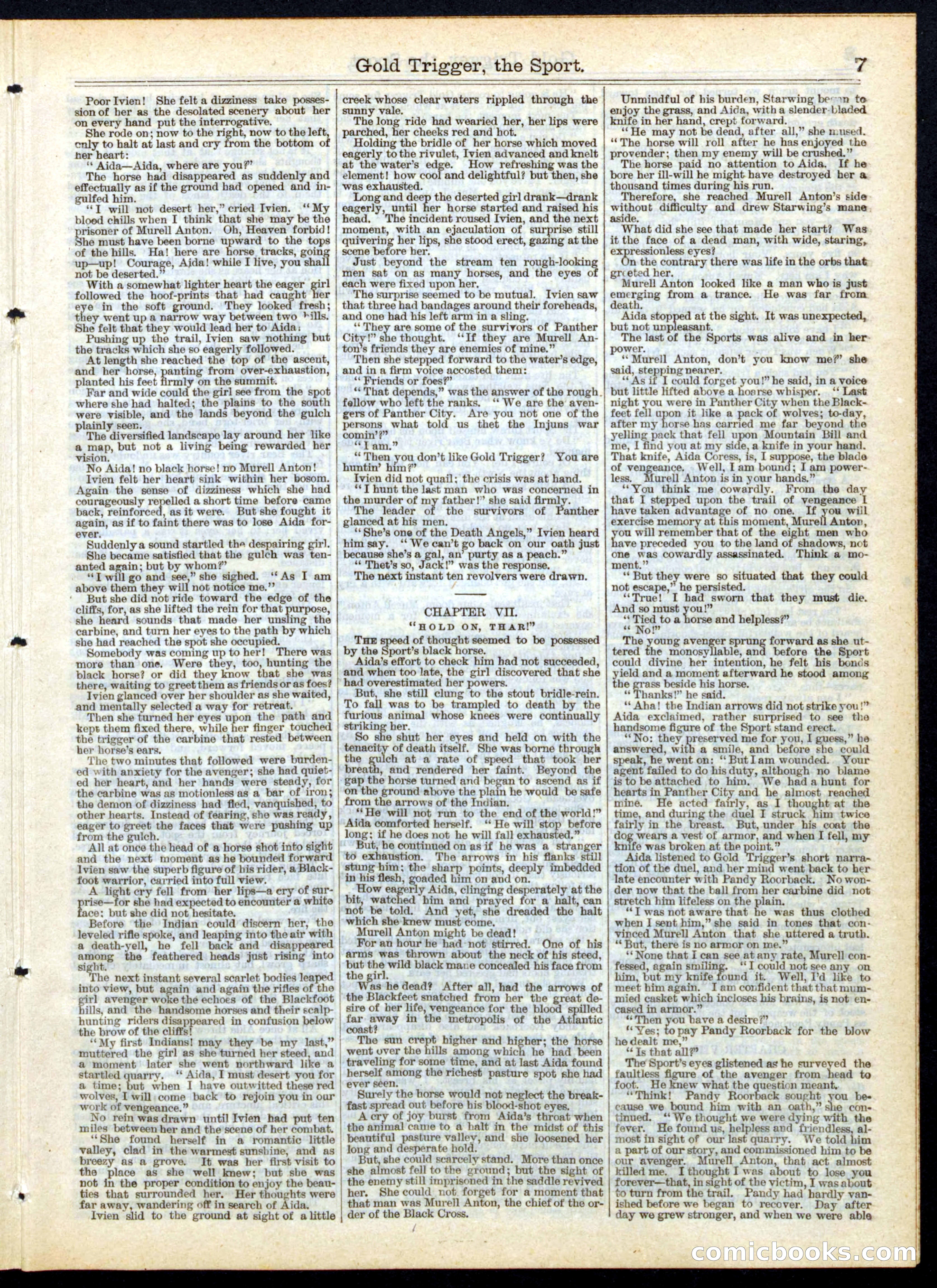 Gold Trigger, the Sport; or, The Girl Avenger — page 7 of 16